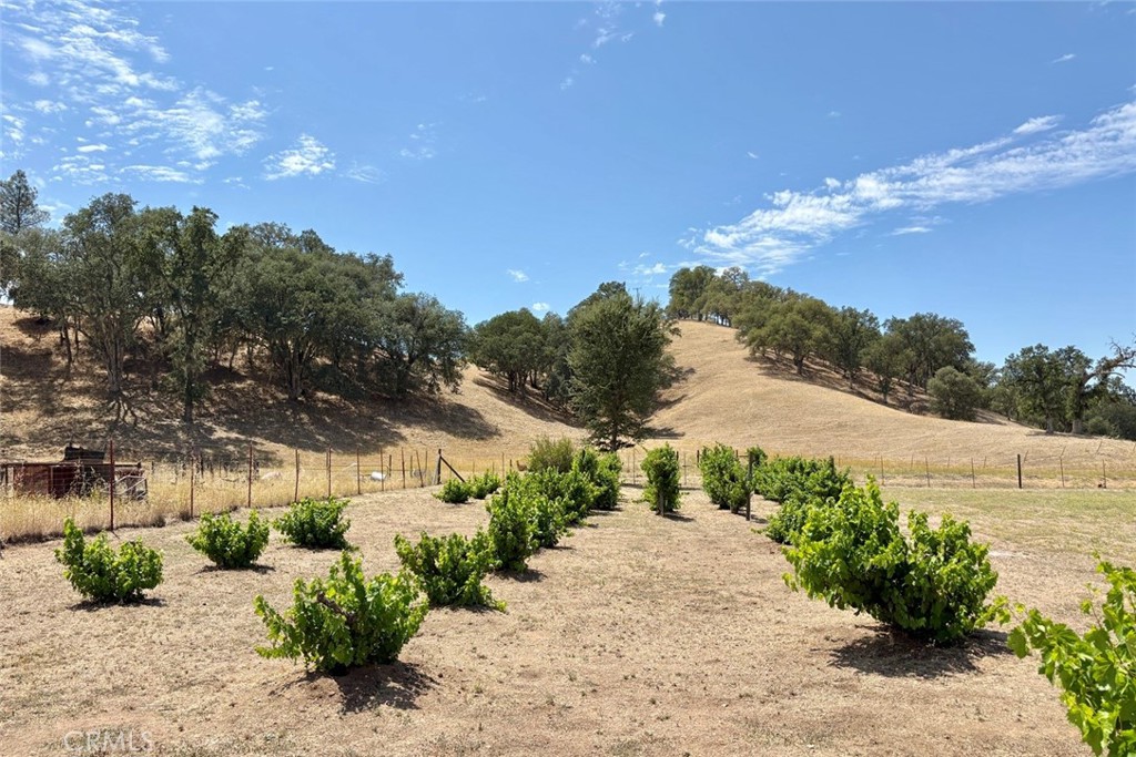 49460 Sapaque Road