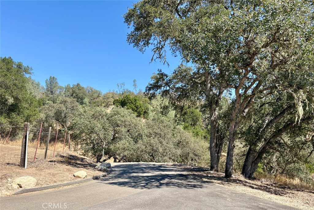 76348 Bryson Hesperia Road