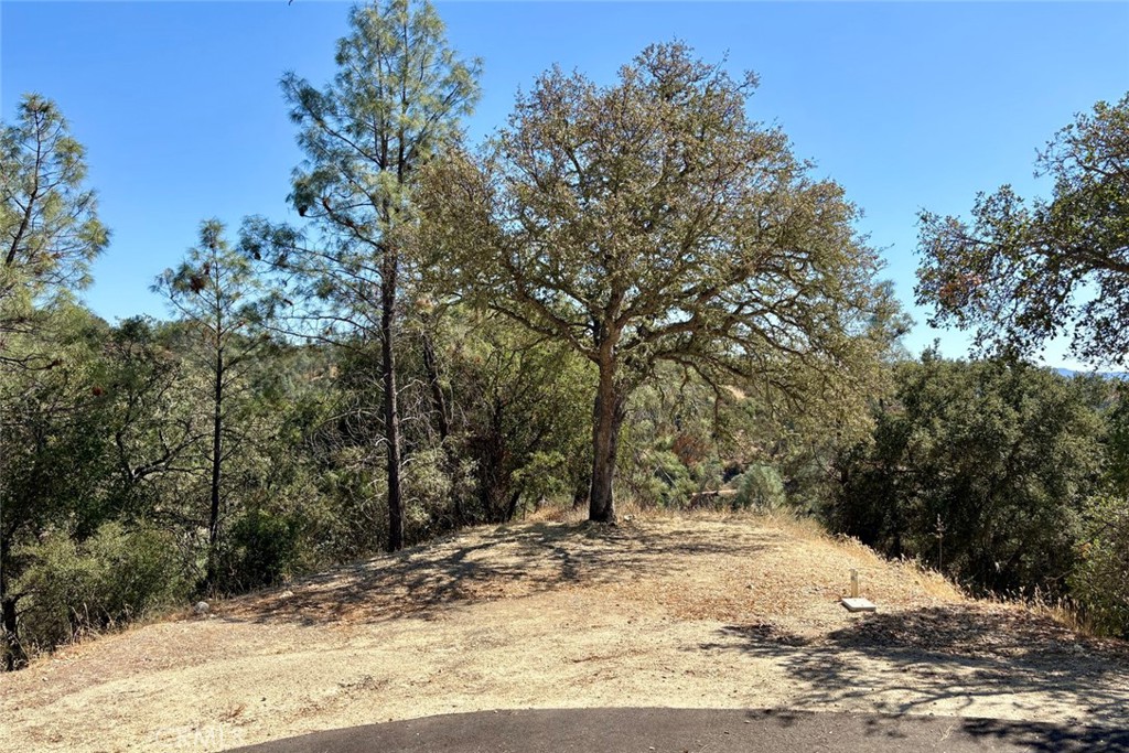 76348 Bryson Hesperia Road