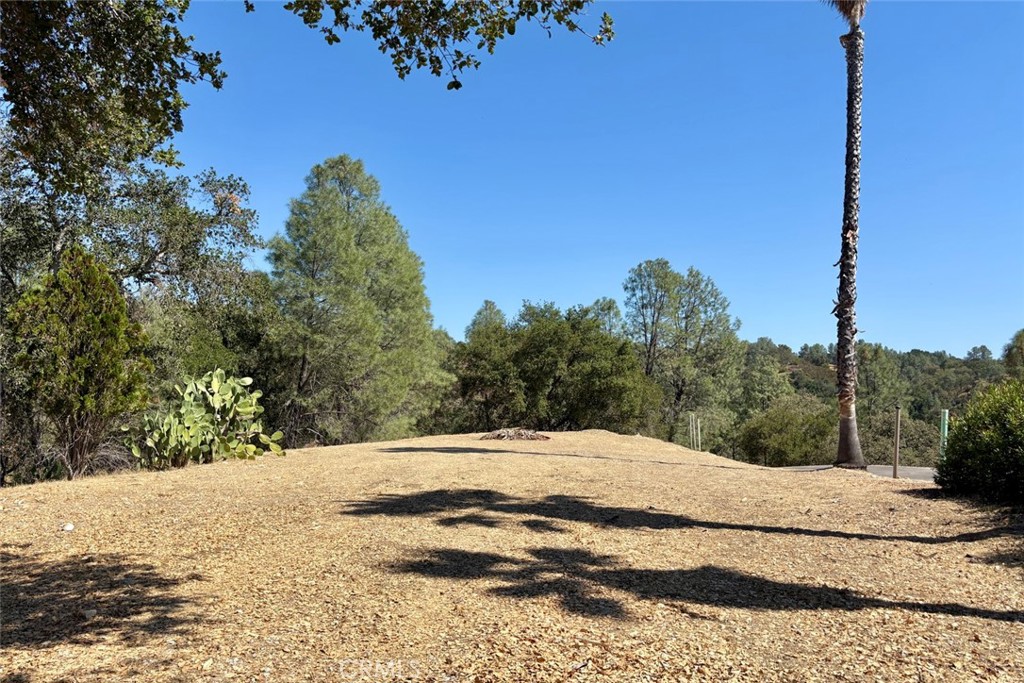 76348 Bryson Hesperia Road