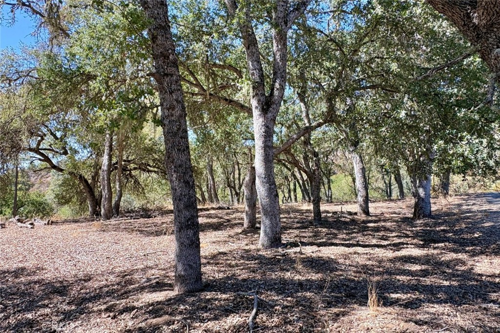 76348 Bryson Hesperia Road