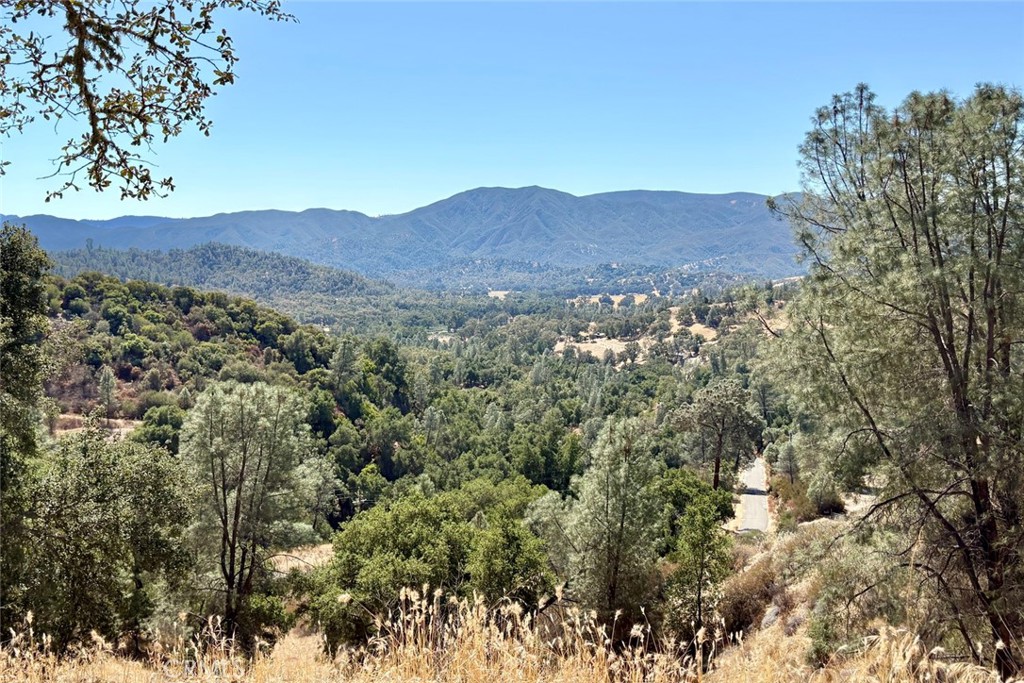 76348 Bryson Hesperia Road