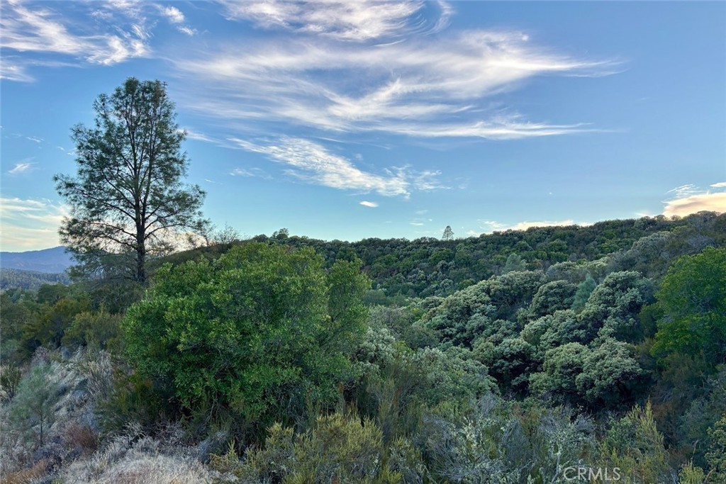 13 Bryson Hesperia Road