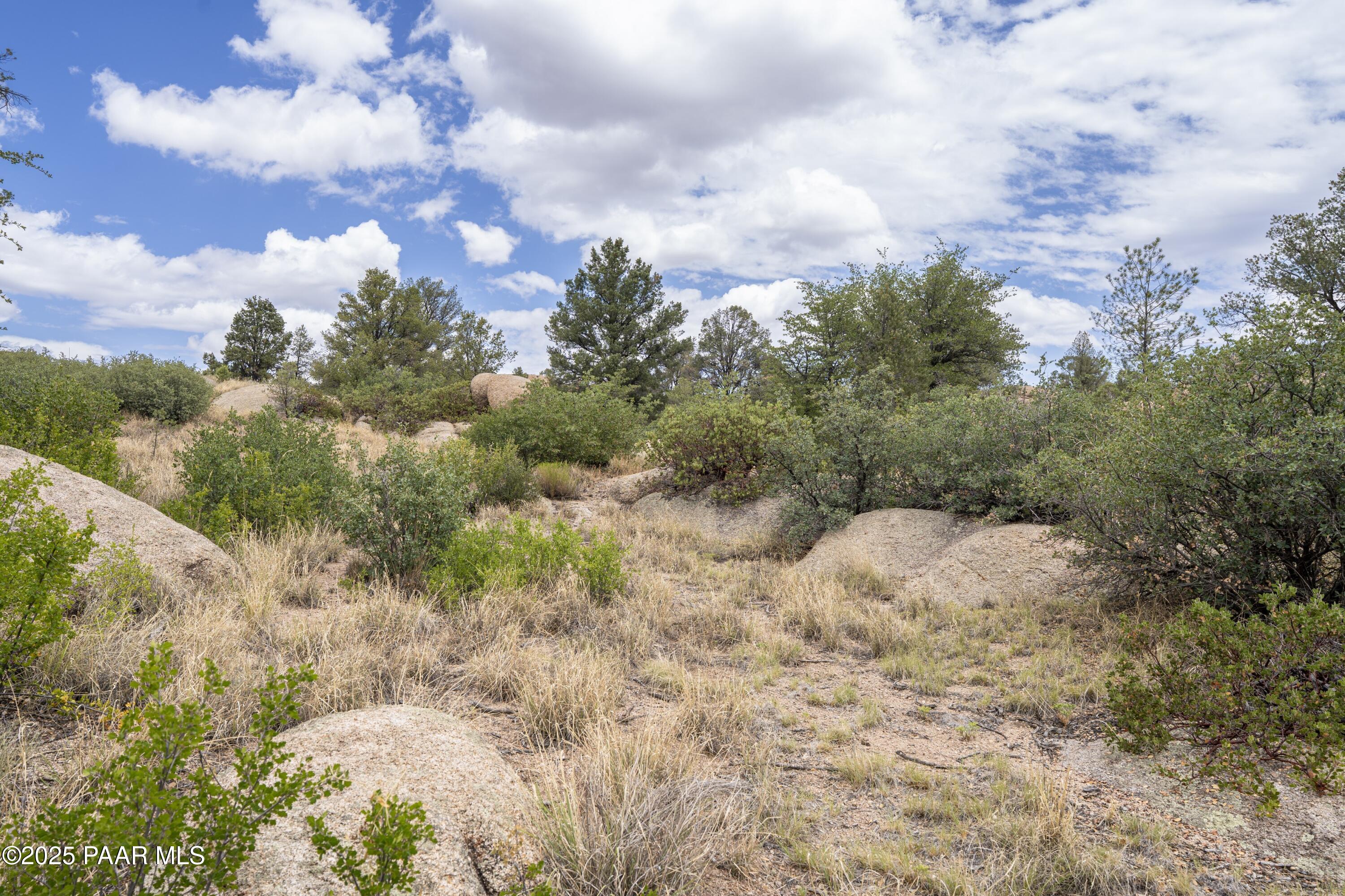 9799 N American Ranch Road