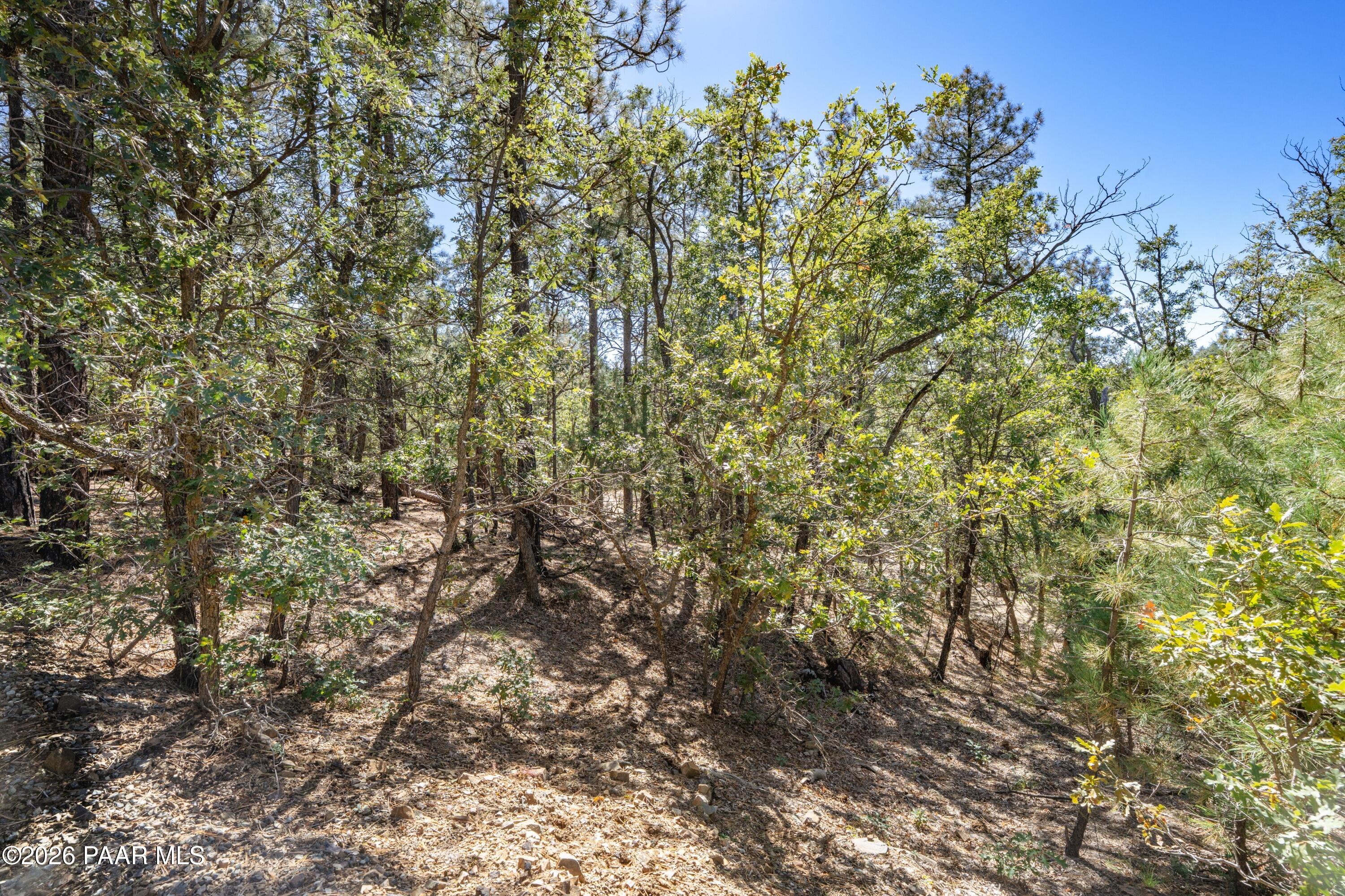 4645 Jack Pine Road