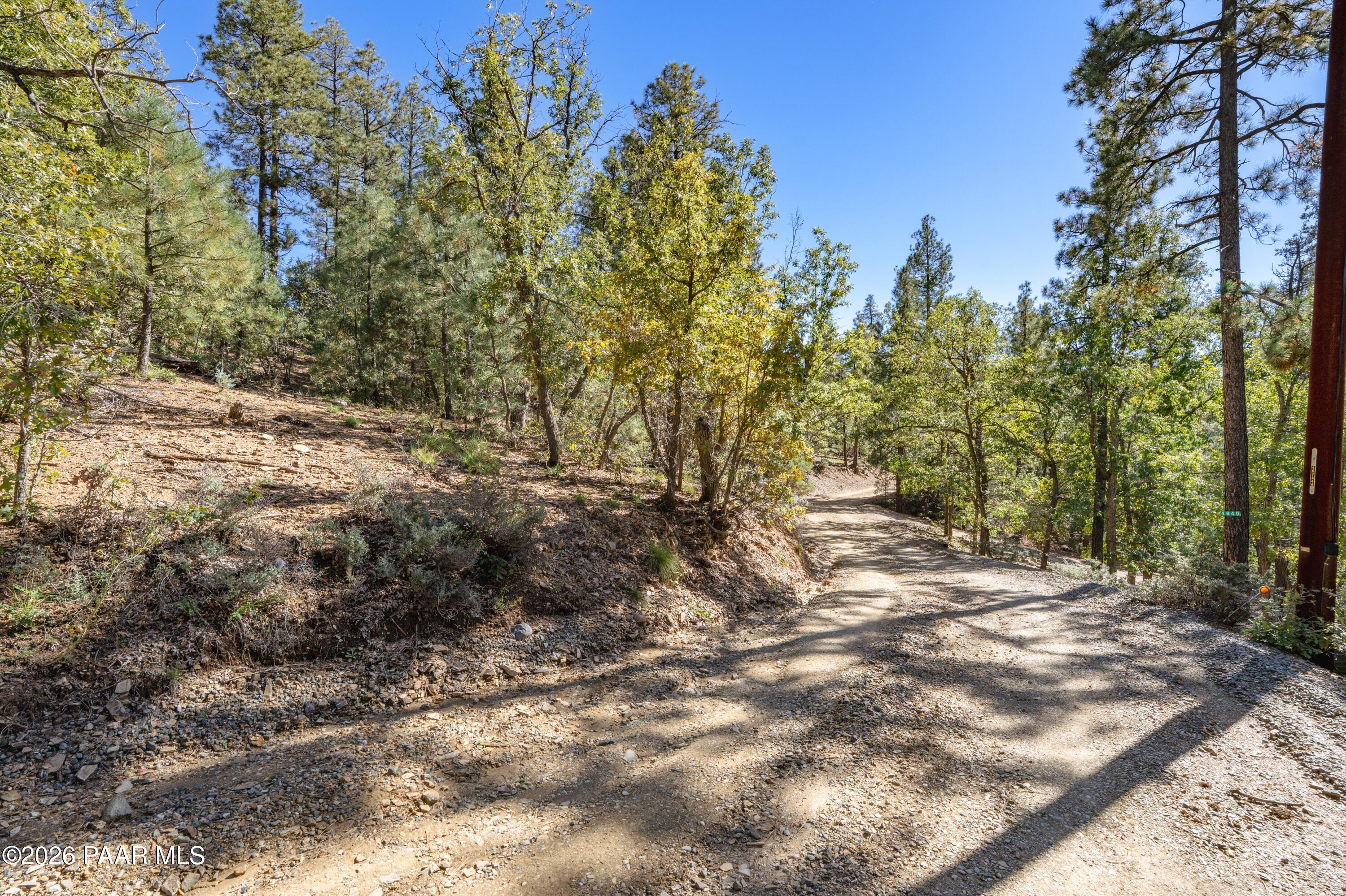 4645 Jack Pine Road