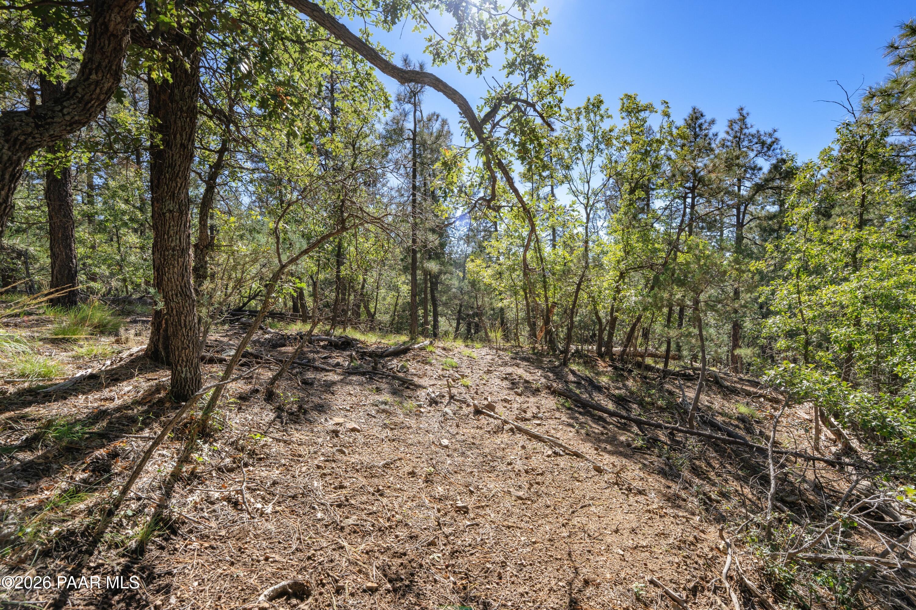 4645 Jack Pine Road
