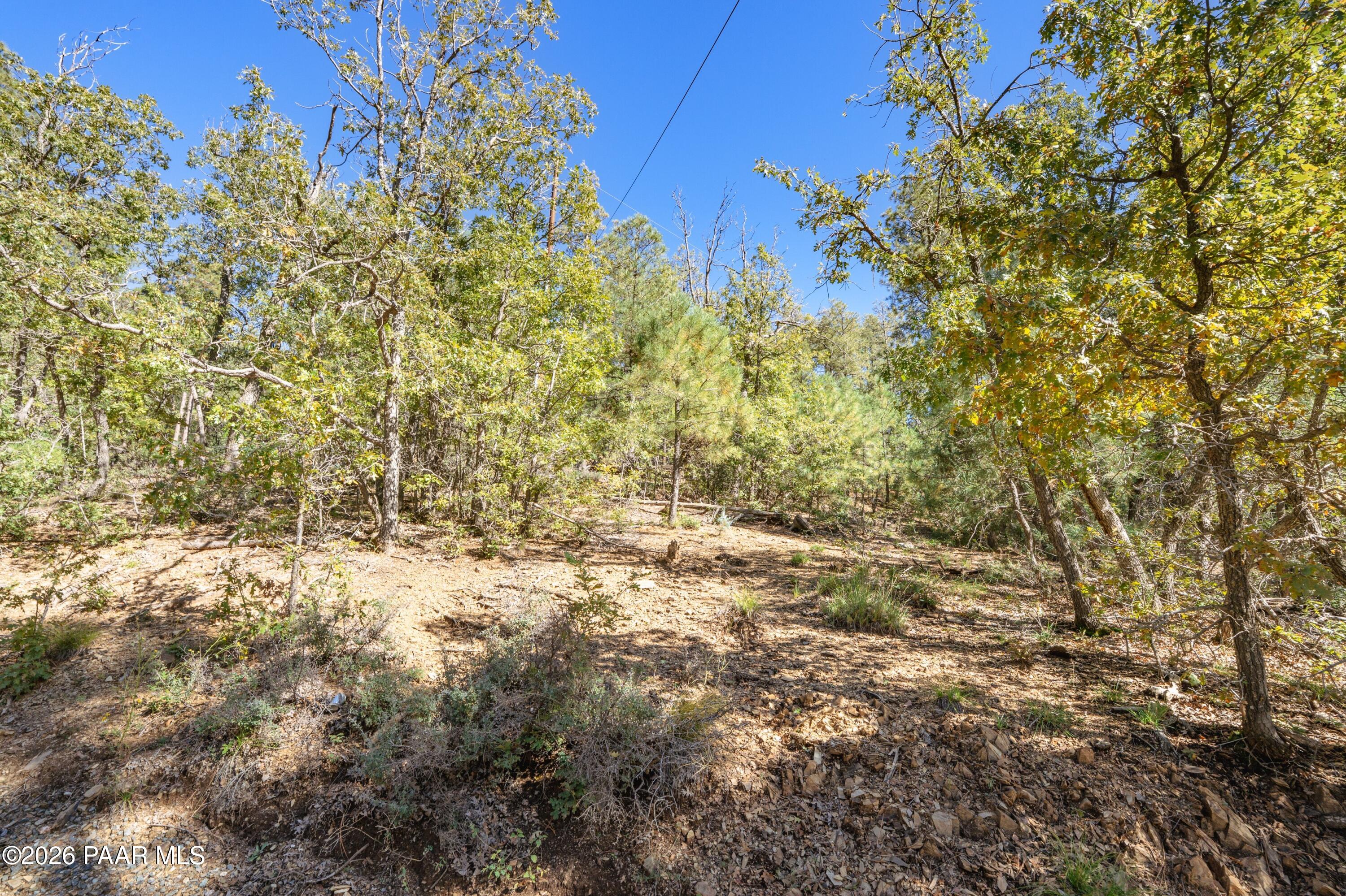 4645 Jack Pine Road