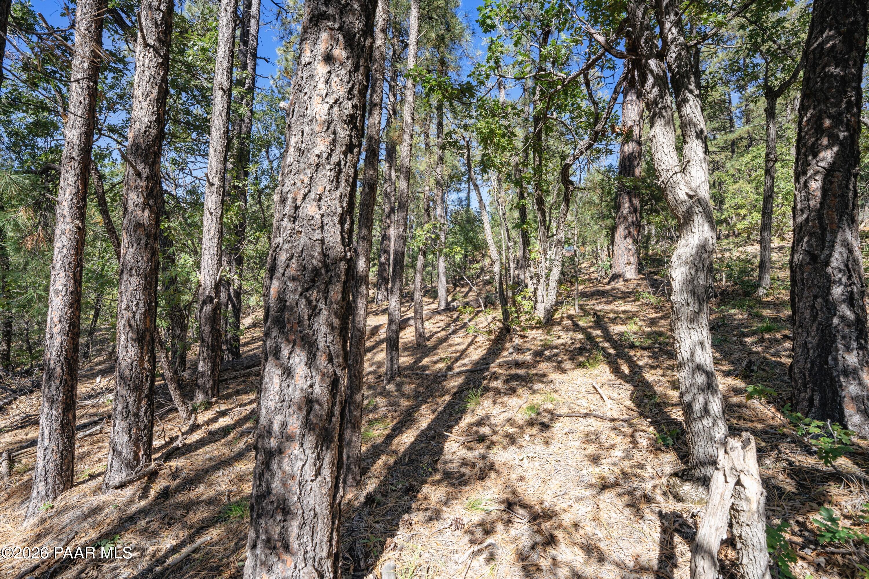 4645 Jack Pine Road