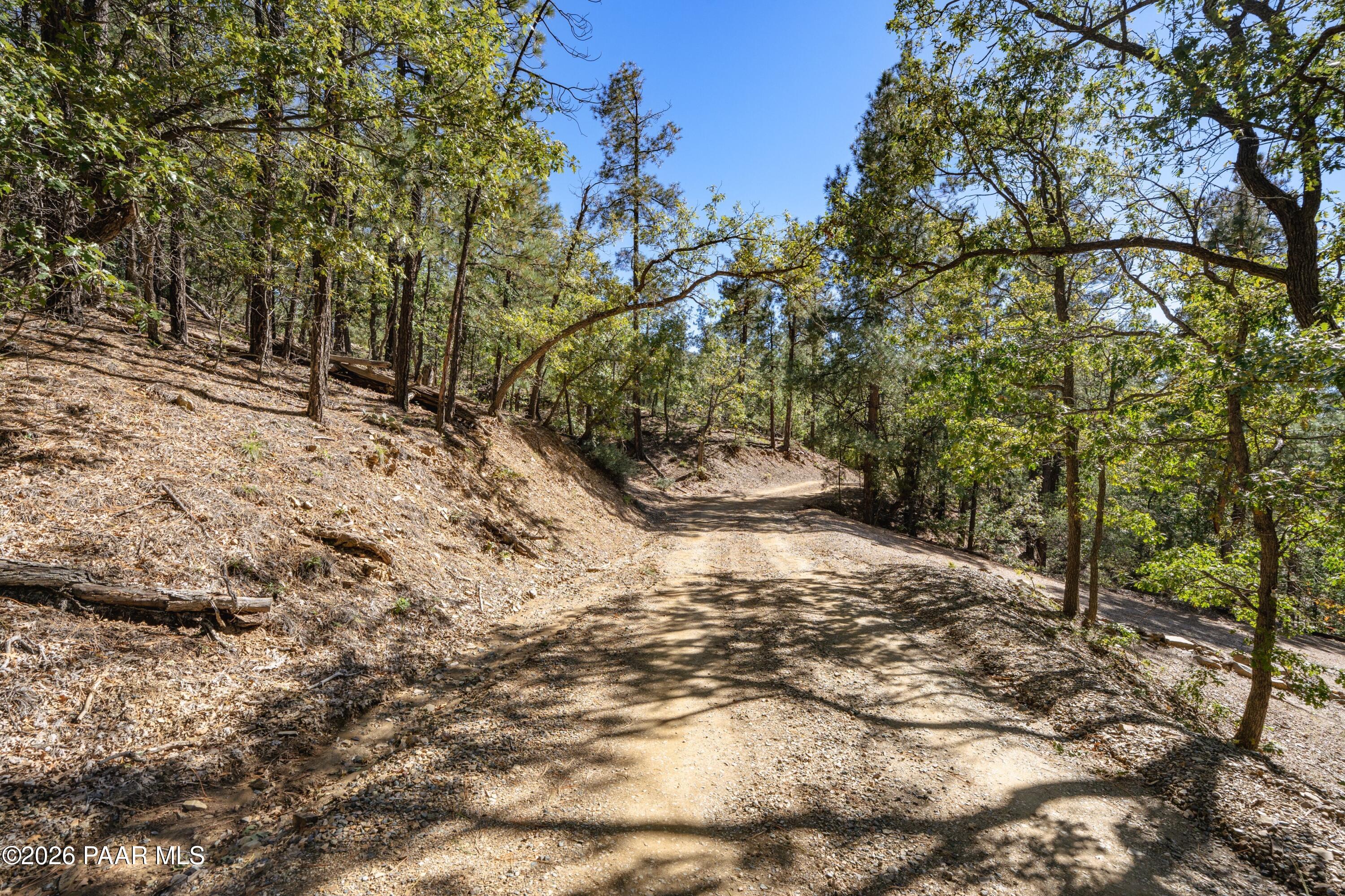 4645 Jack Pine Road