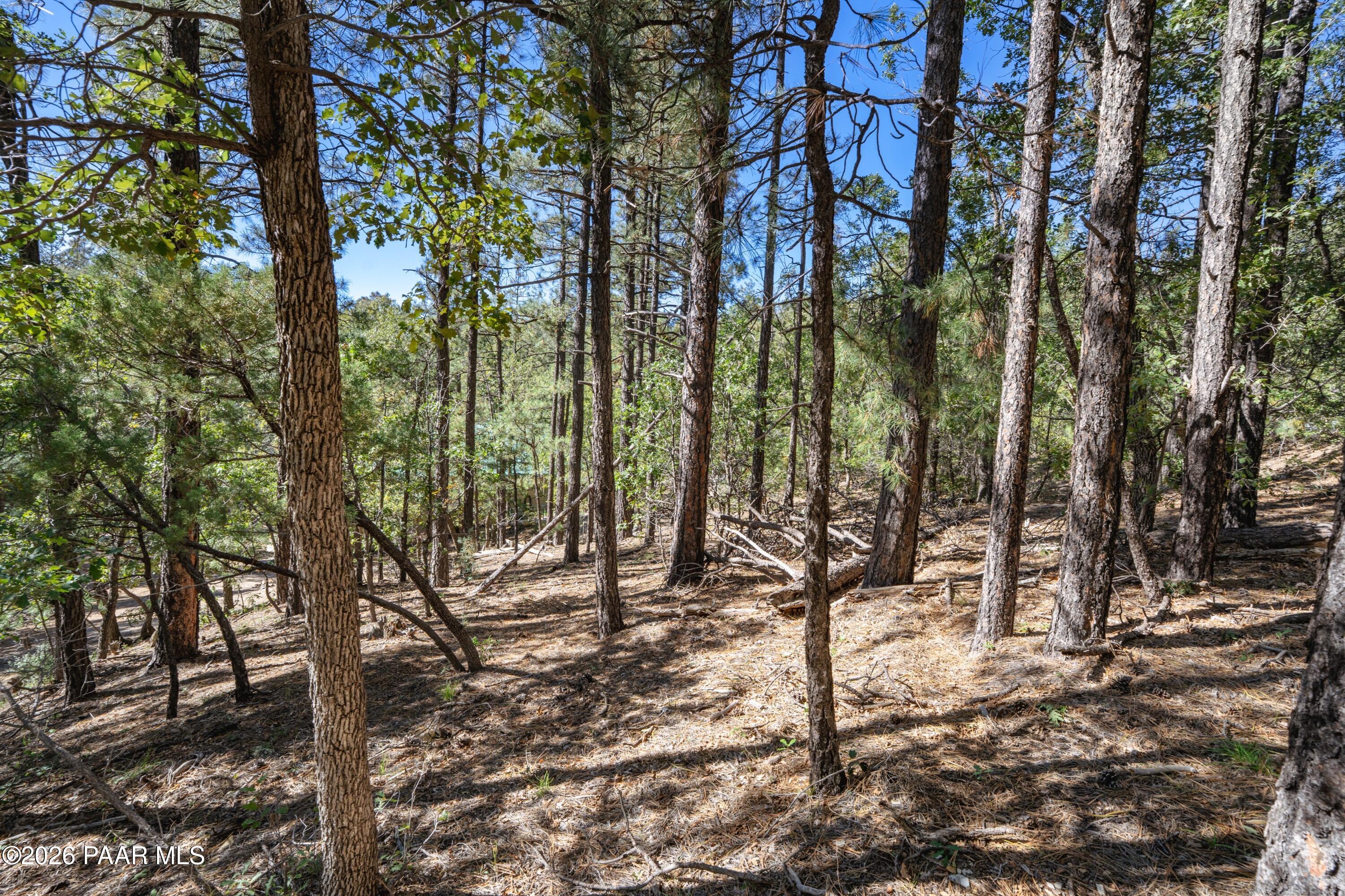 4645 Jack Pine Road