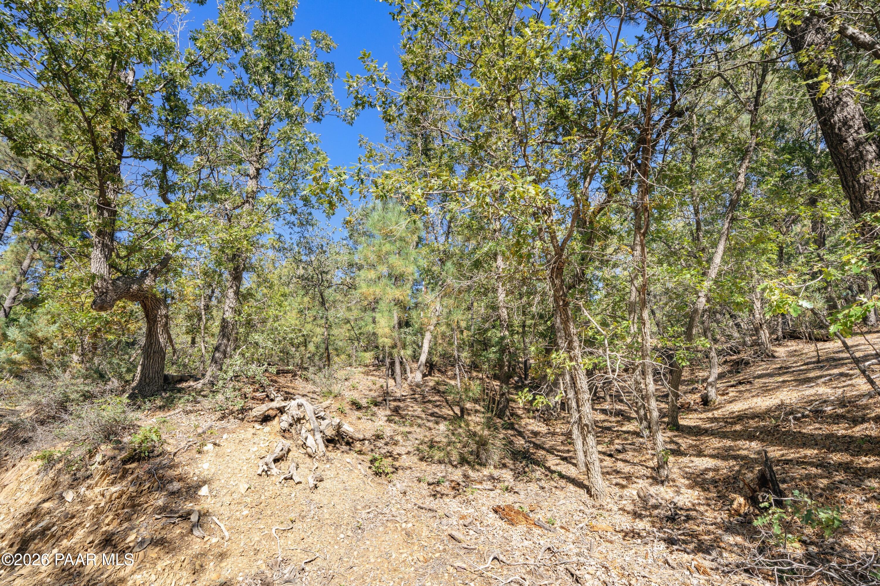 4645 Jack Pine Road