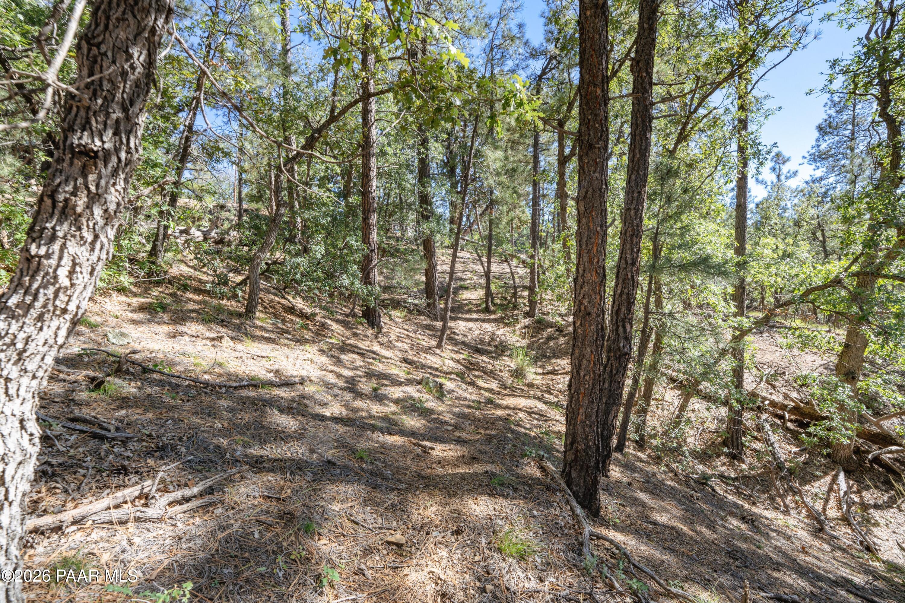 4645 Jack Pine Road