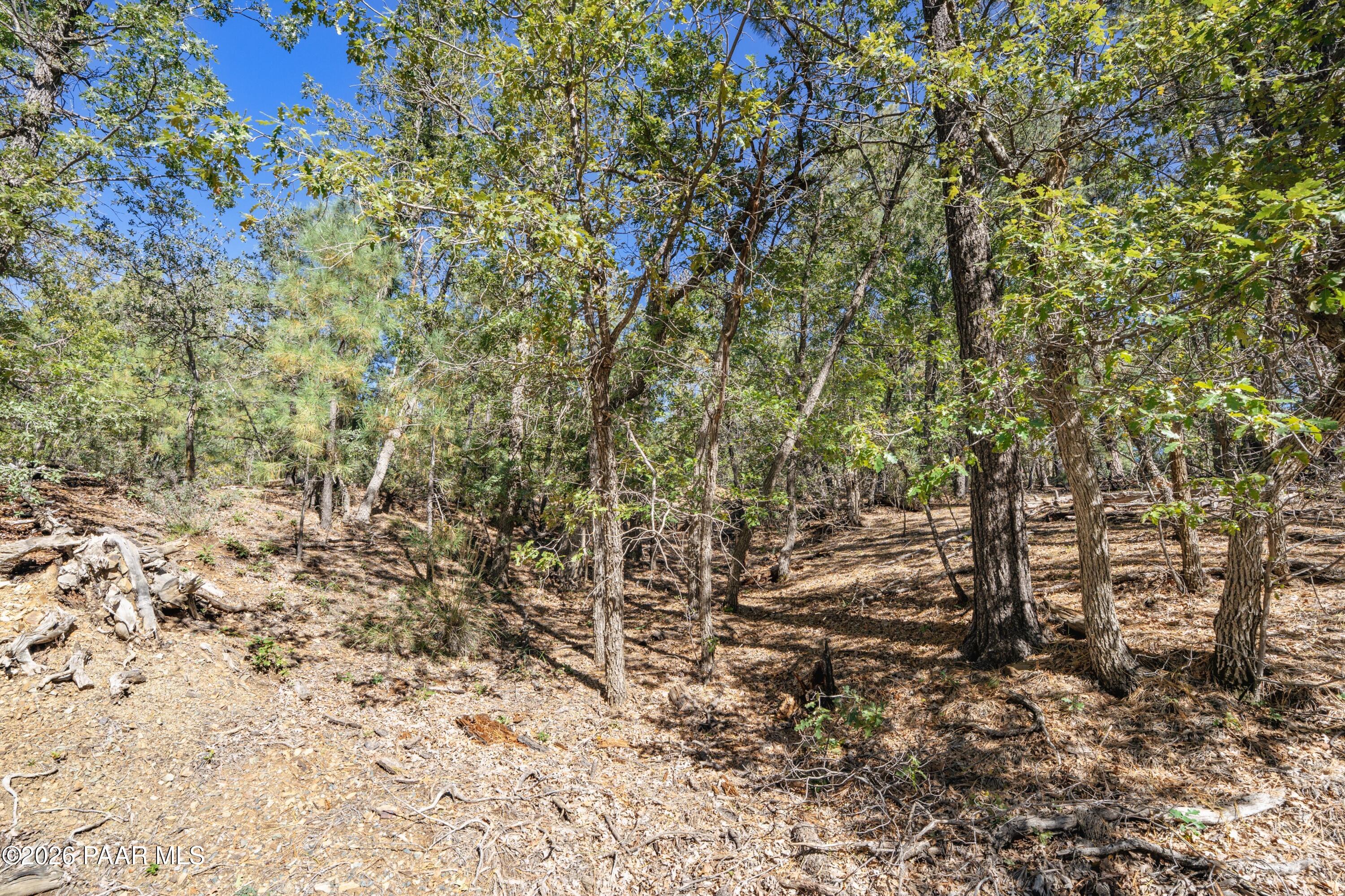 4645 Jack Pine Road