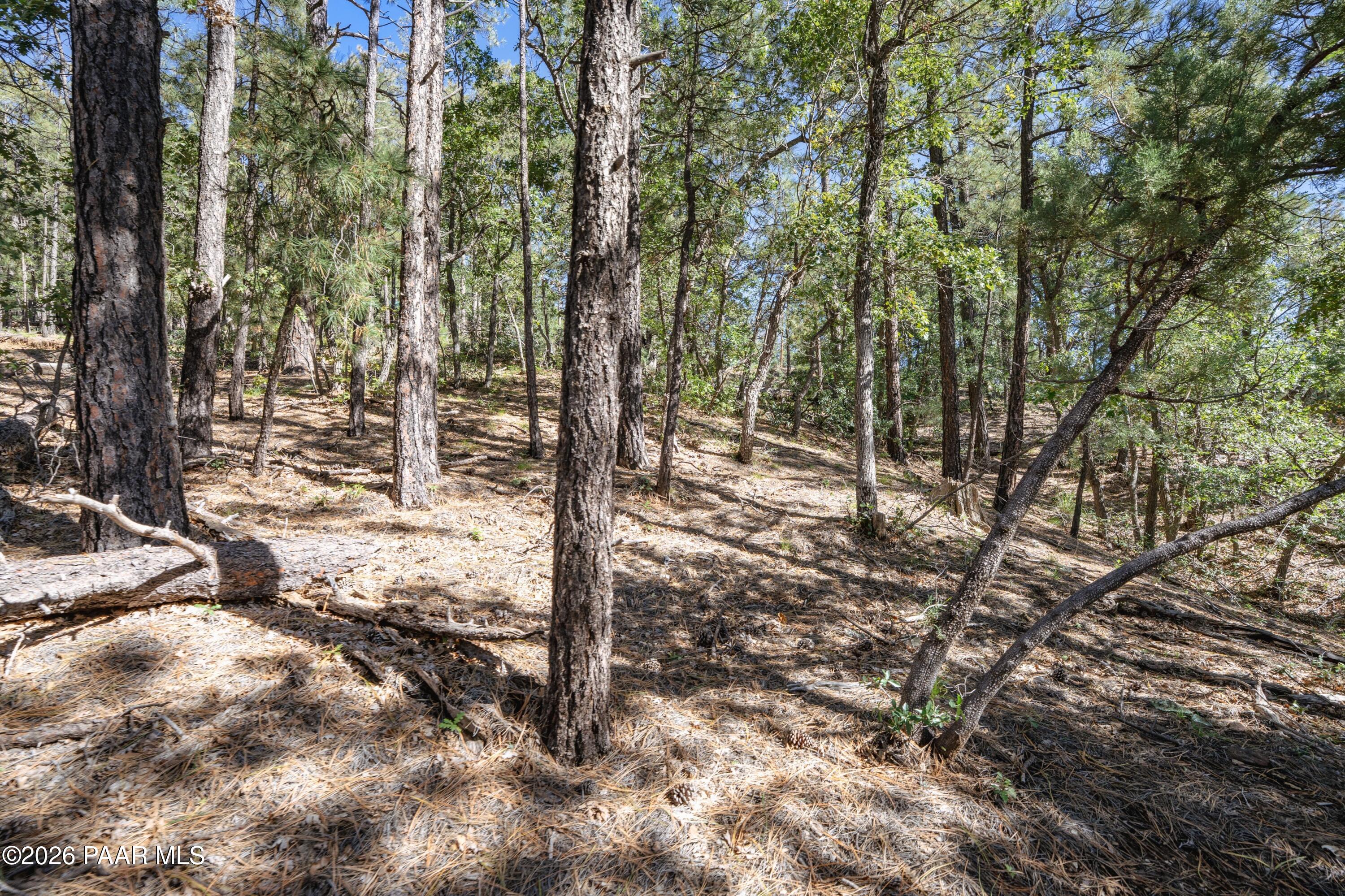 4645 Jack Pine Road