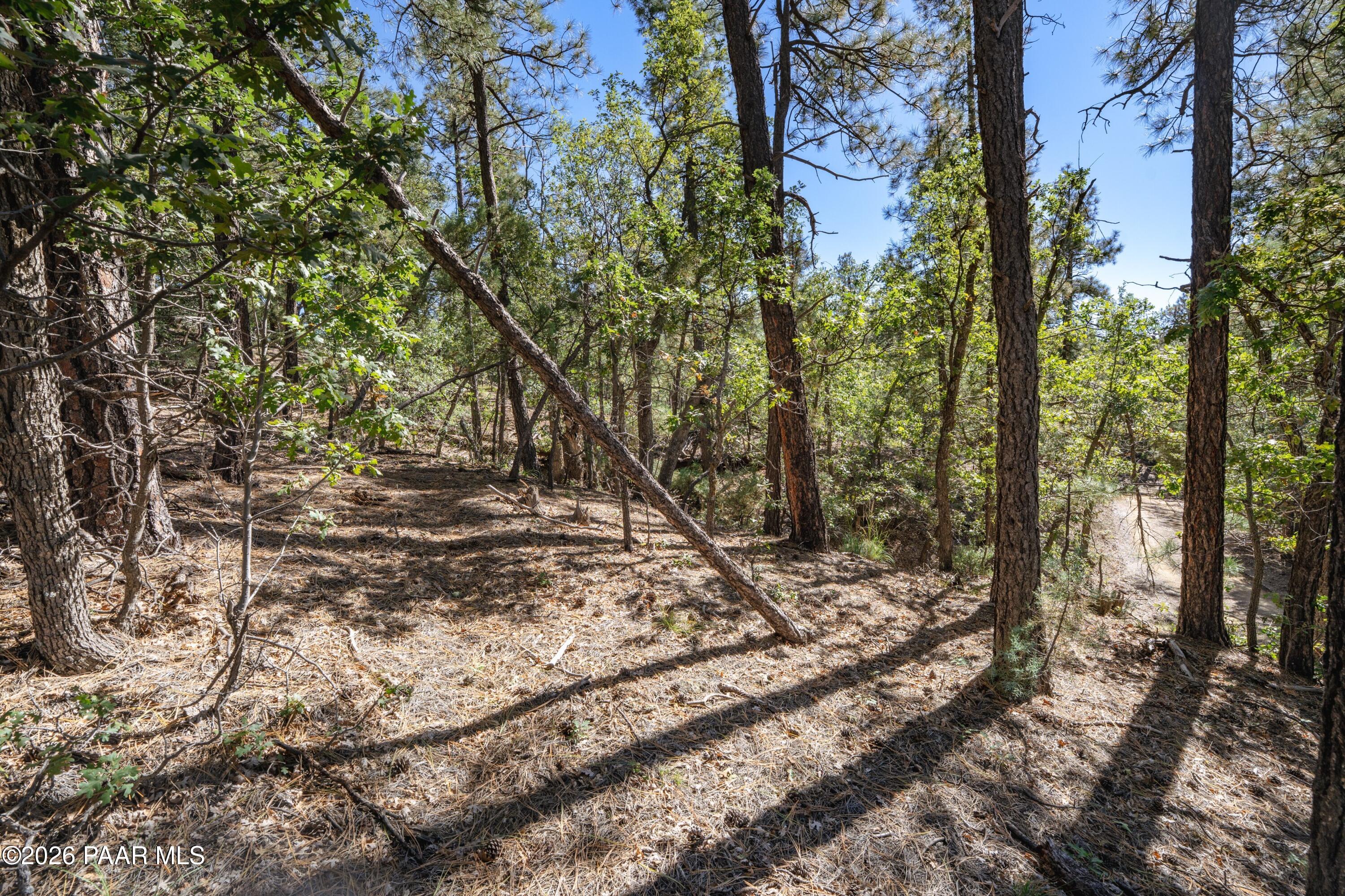 4645 Jack Pine Road