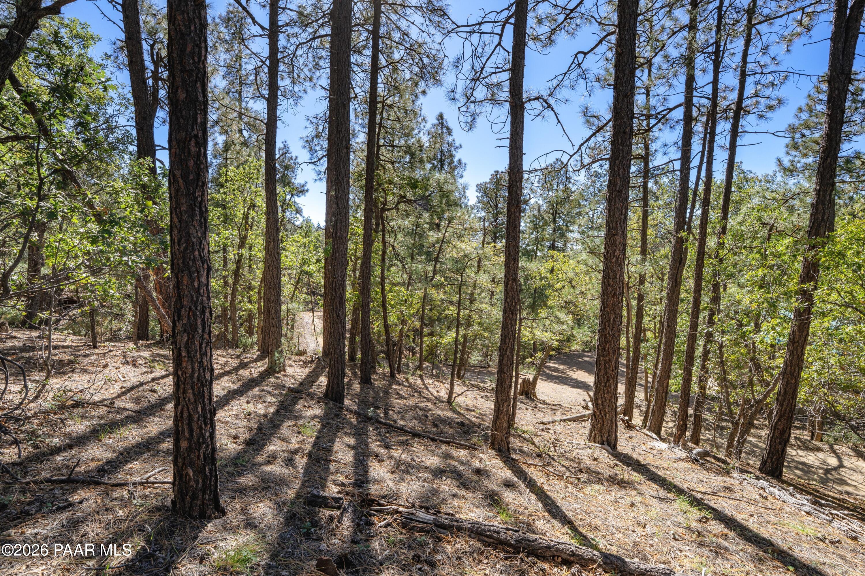 4645 Jack Pine Road