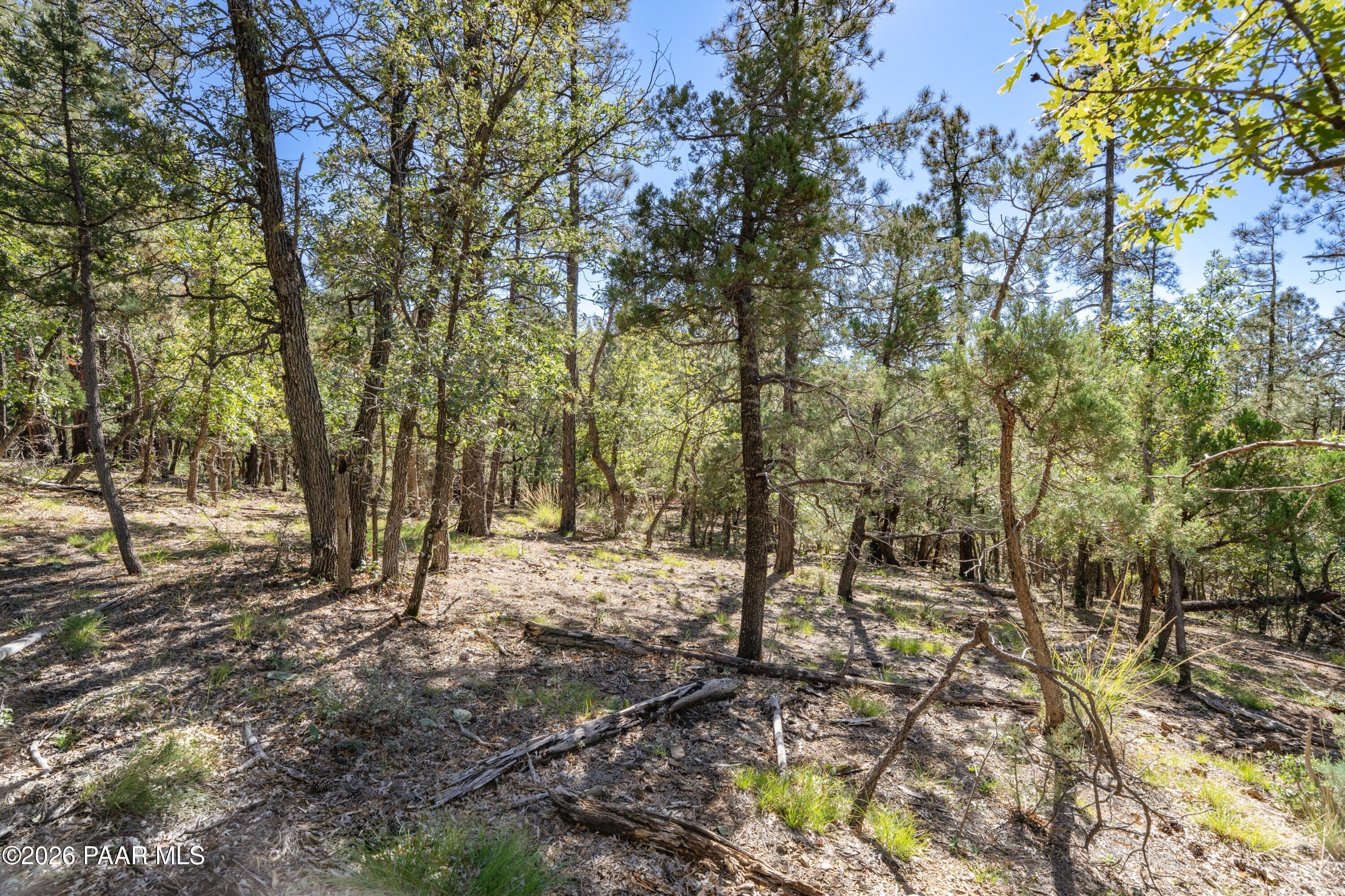 4645 Jack Pine Road