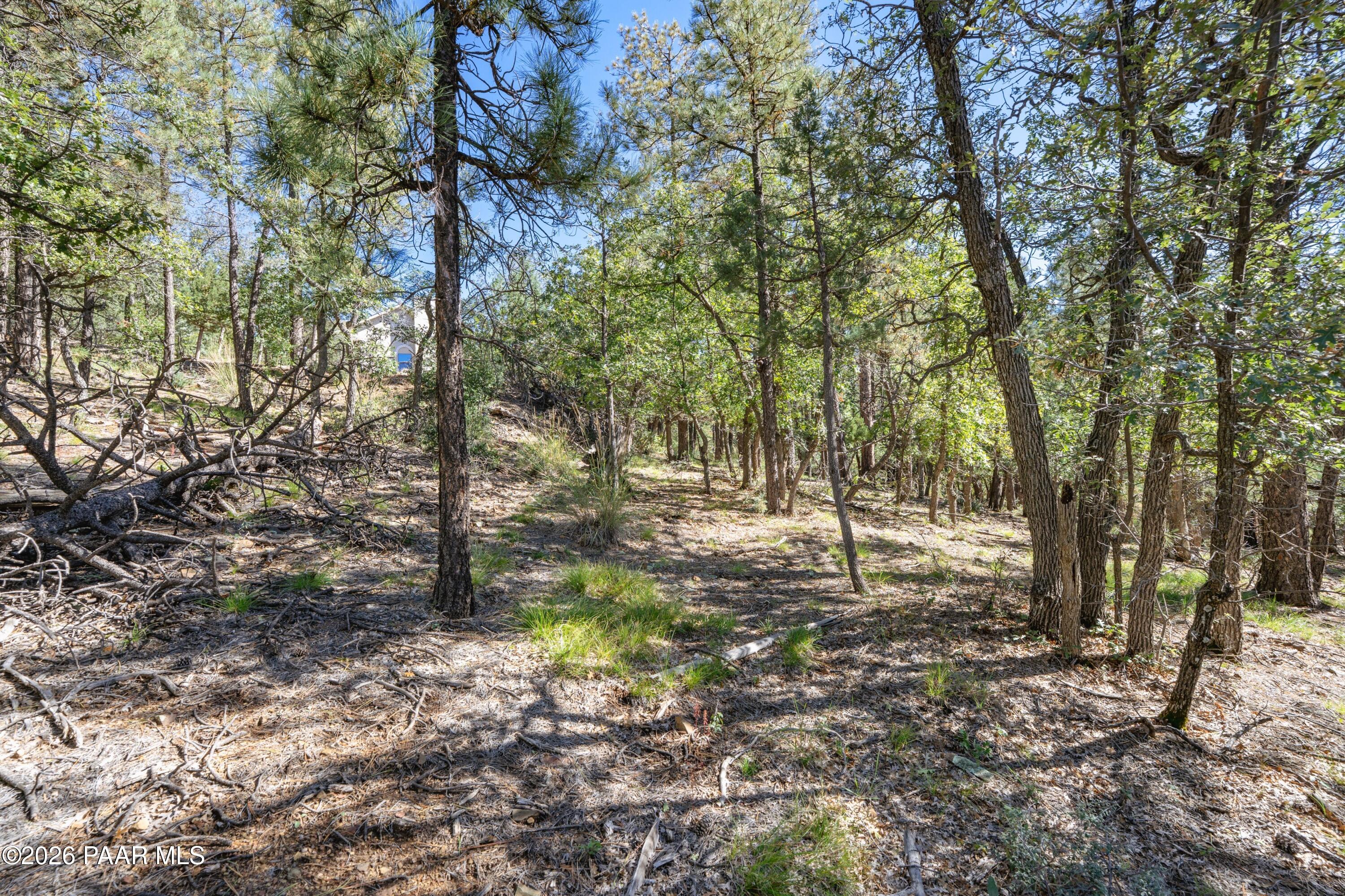 4645 Jack Pine Road