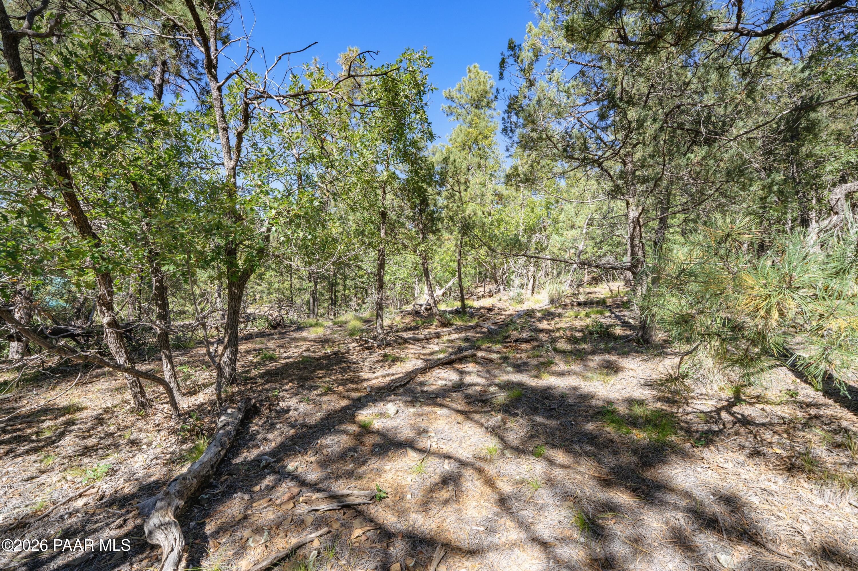 4645 Jack Pine Road