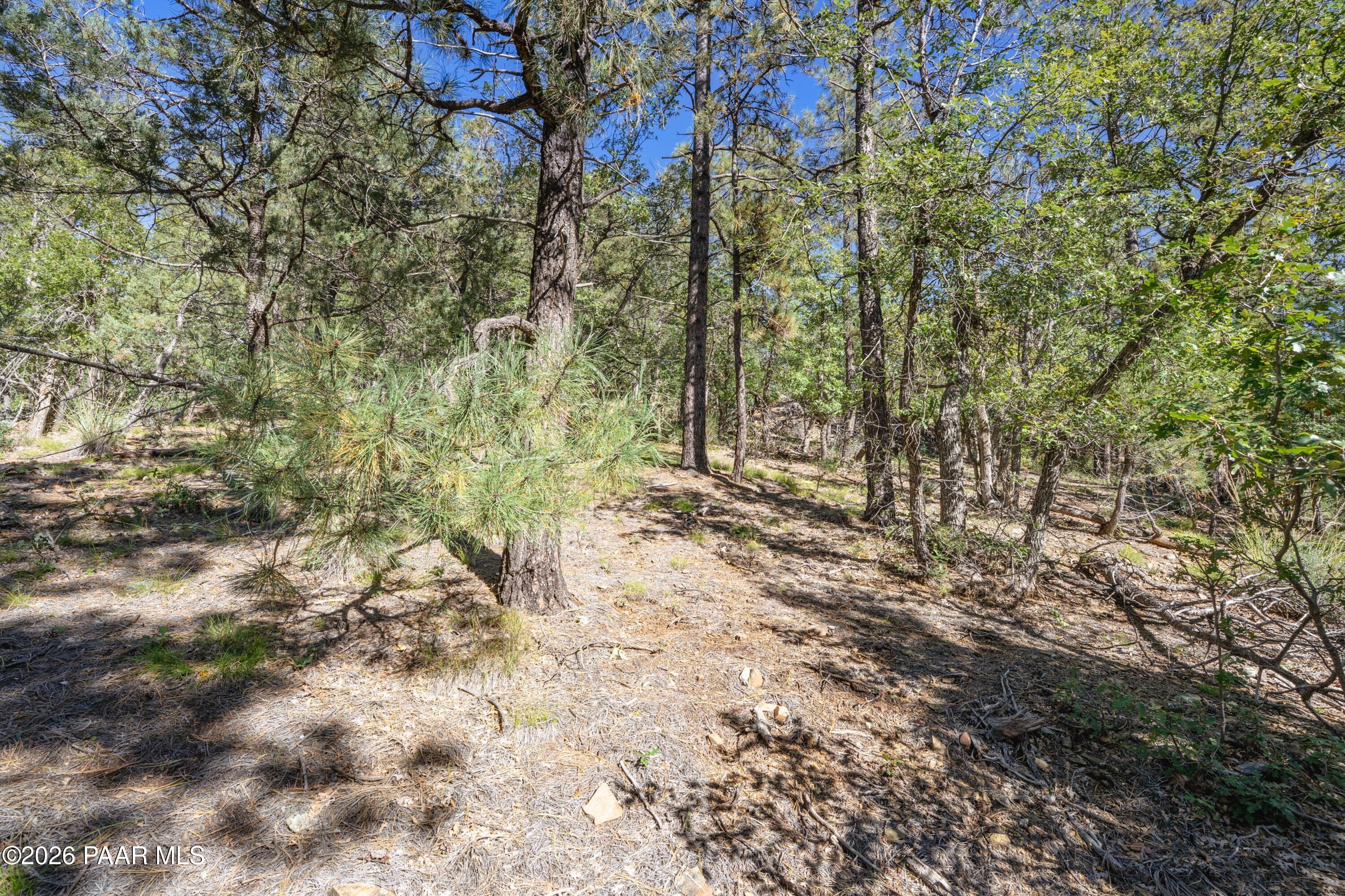 4645 Jack Pine Road