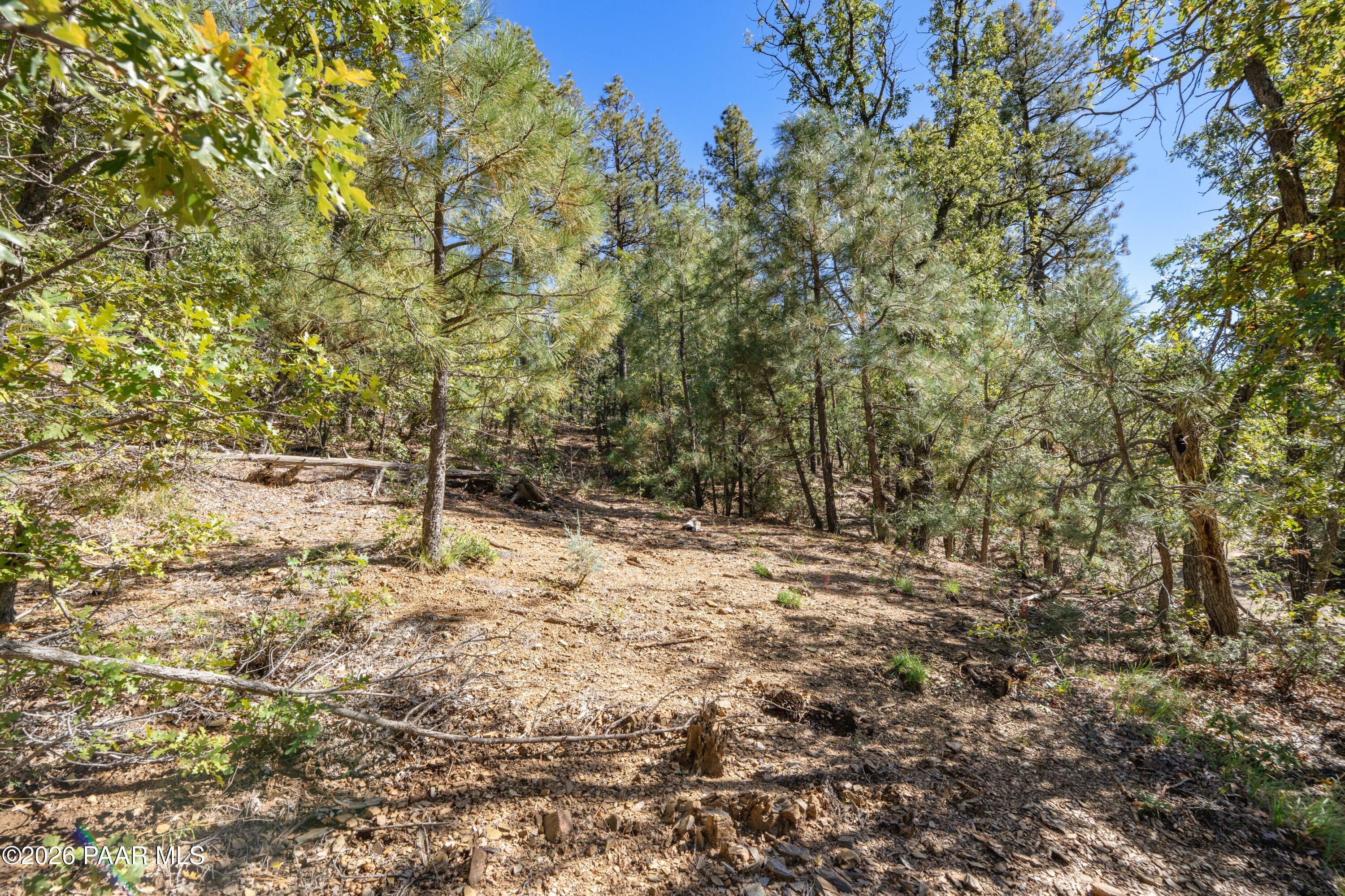 4645 Jack Pine Road