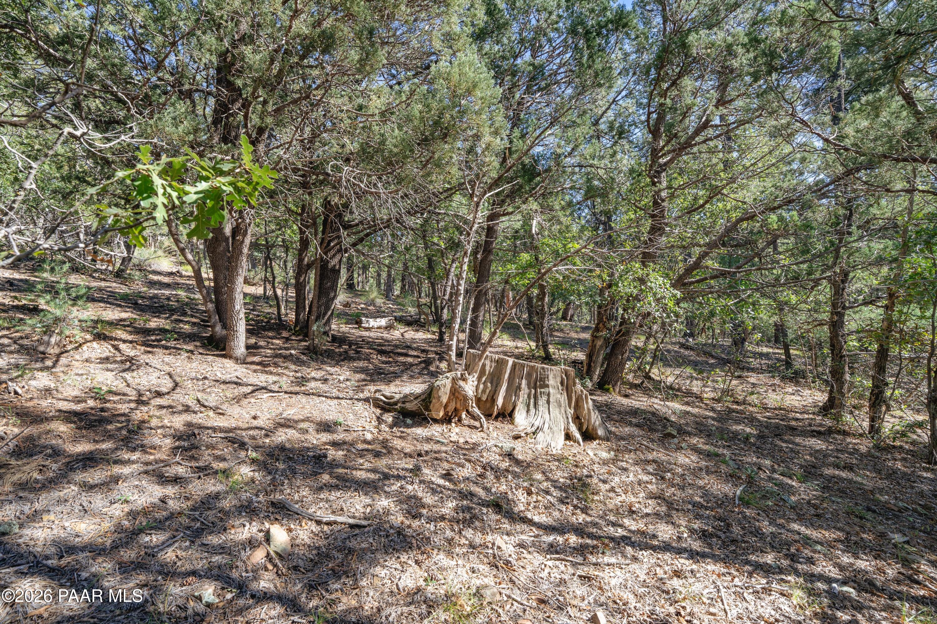 4645 Jack Pine Road