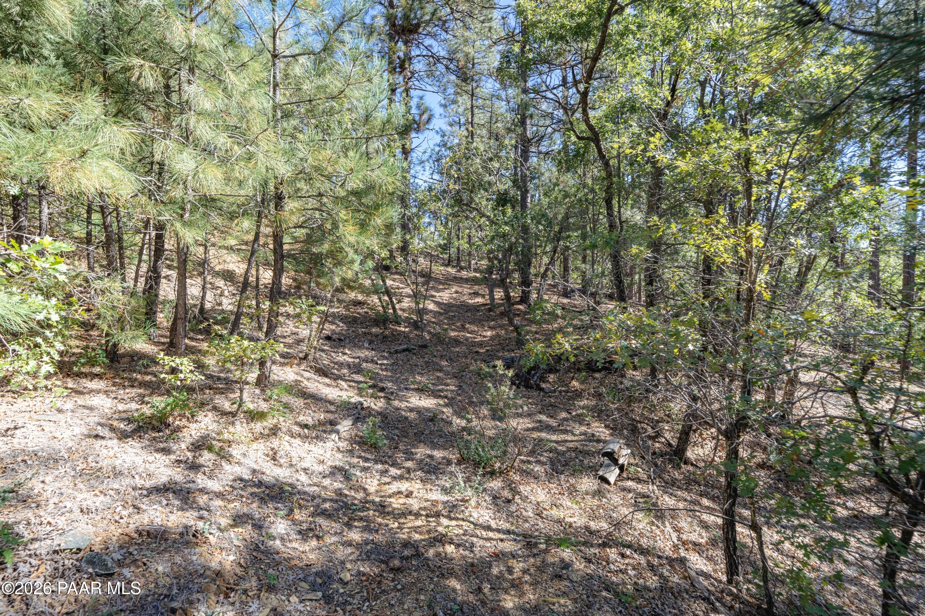 4645 Jack Pine Road
