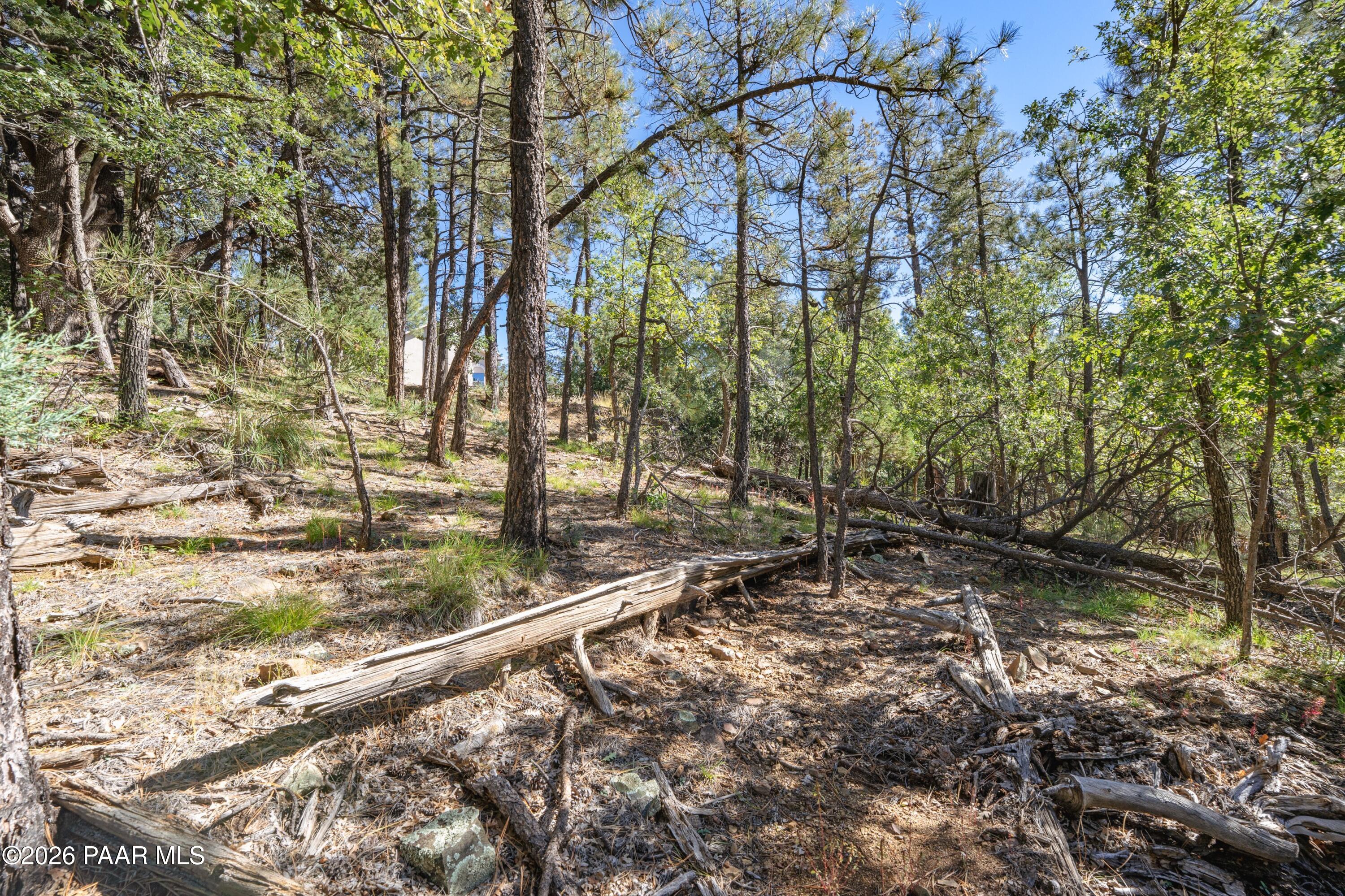 4645 Jack Pine Road