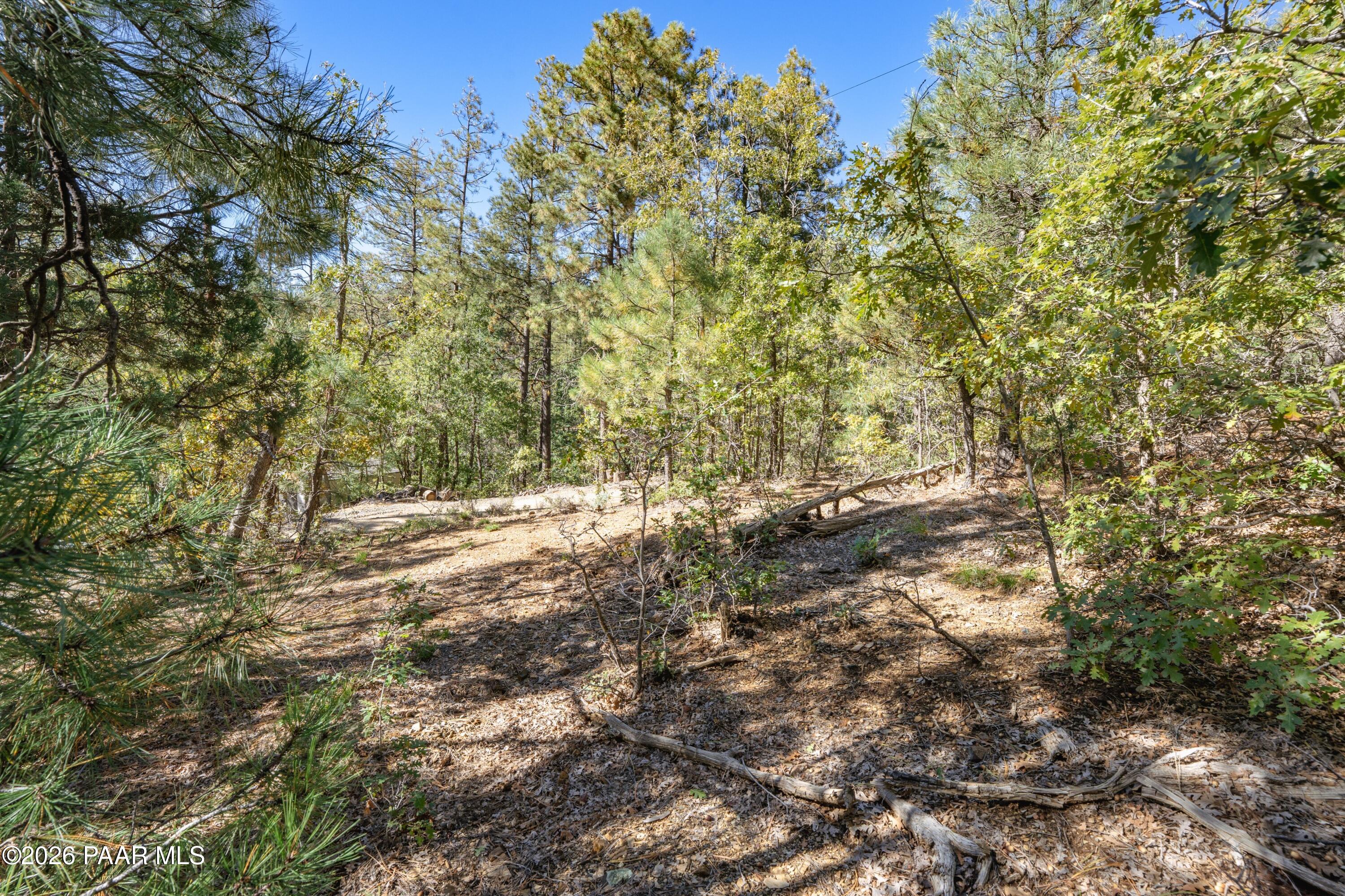 4645 Jack Pine Road