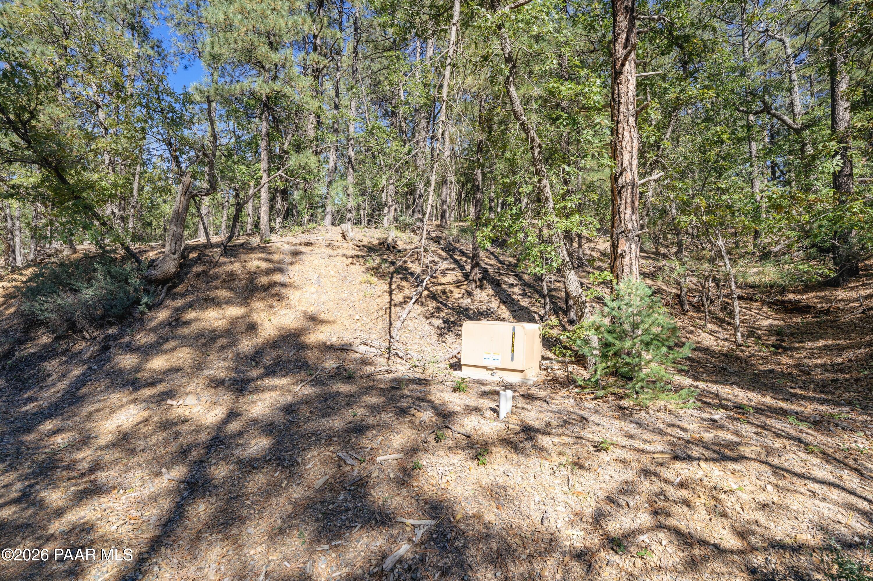 4645 Jack Pine Road