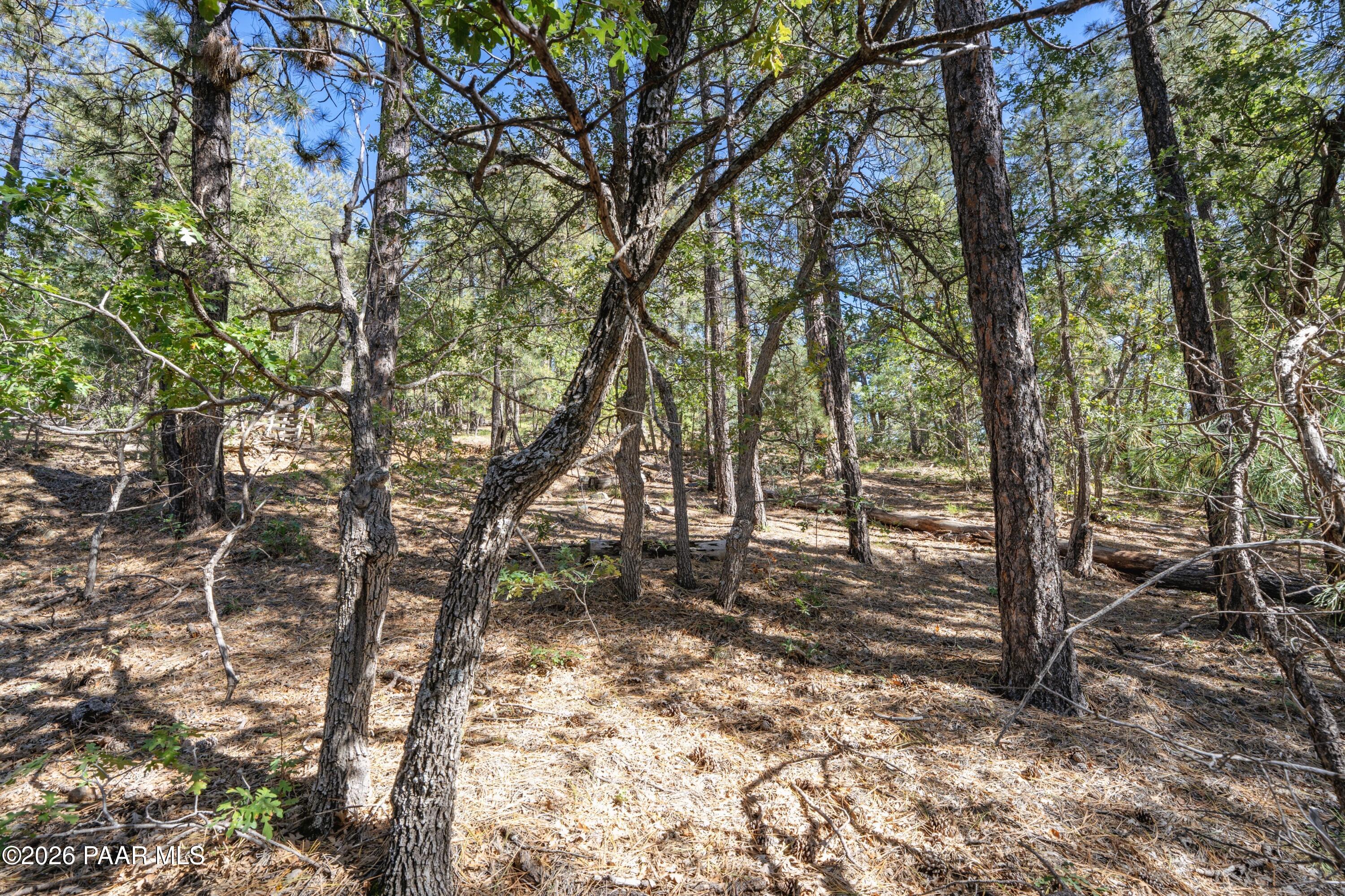 4645 Jack Pine Road