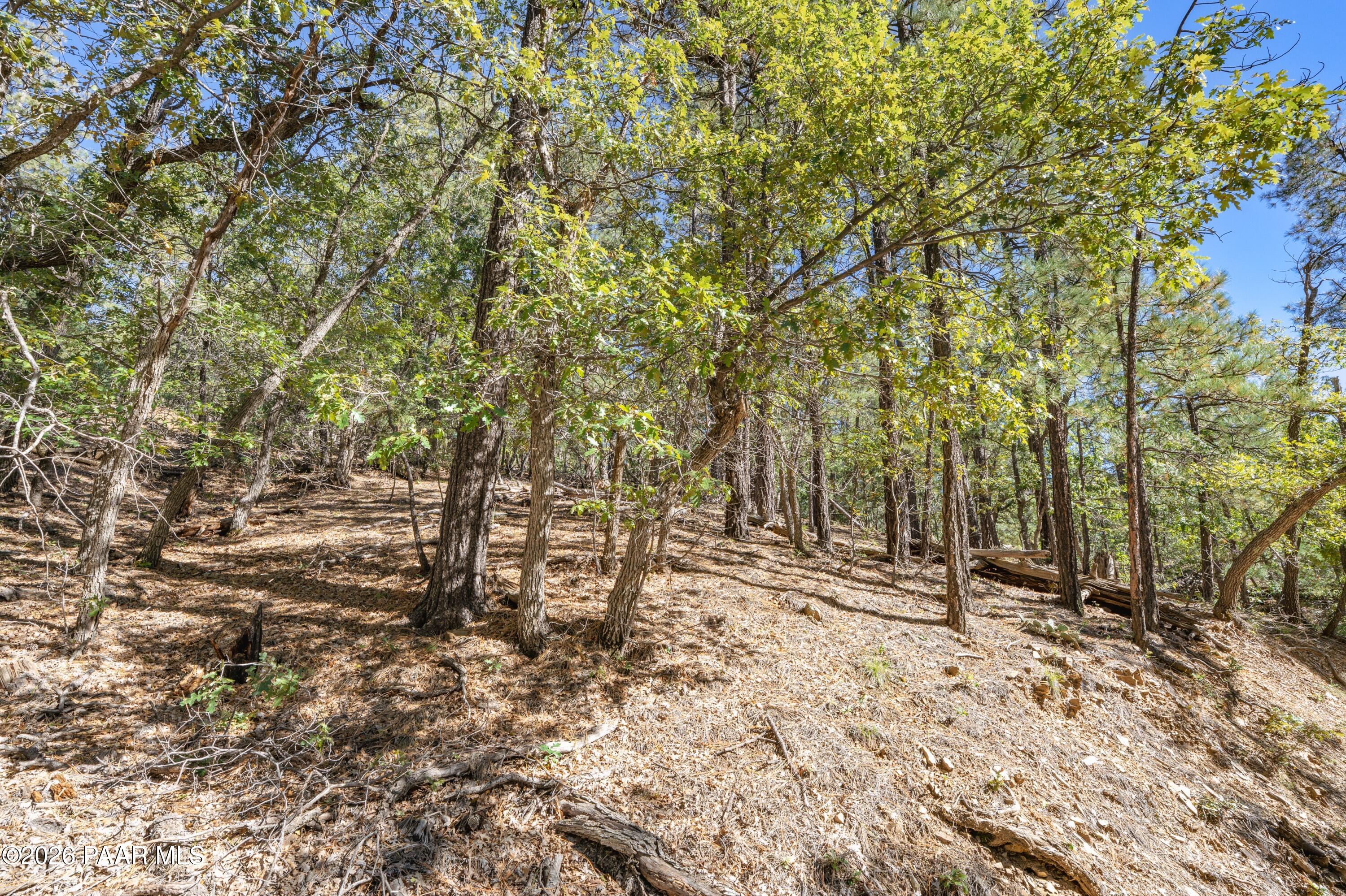 4645 Jack Pine Road