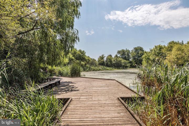 141 N PATTERSON PARK AVENUE