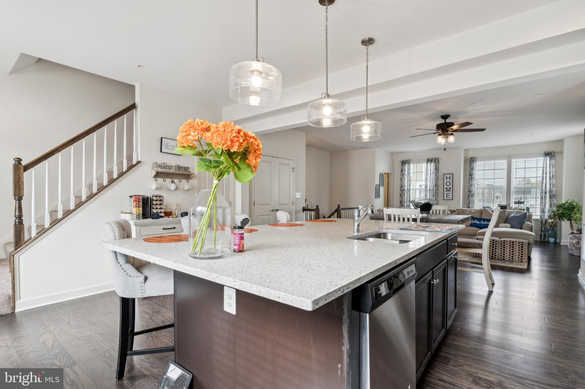 117 Gallop Dr