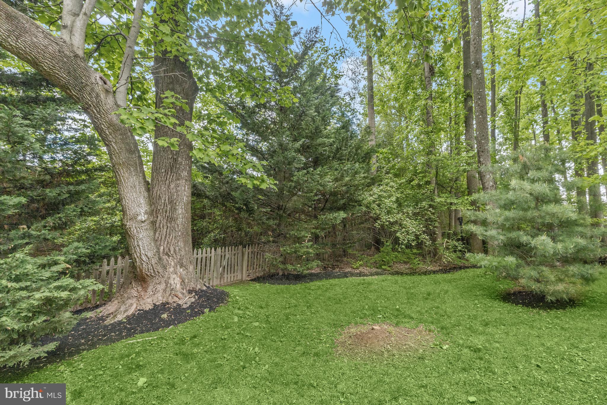 13225 Trebleclef Ln