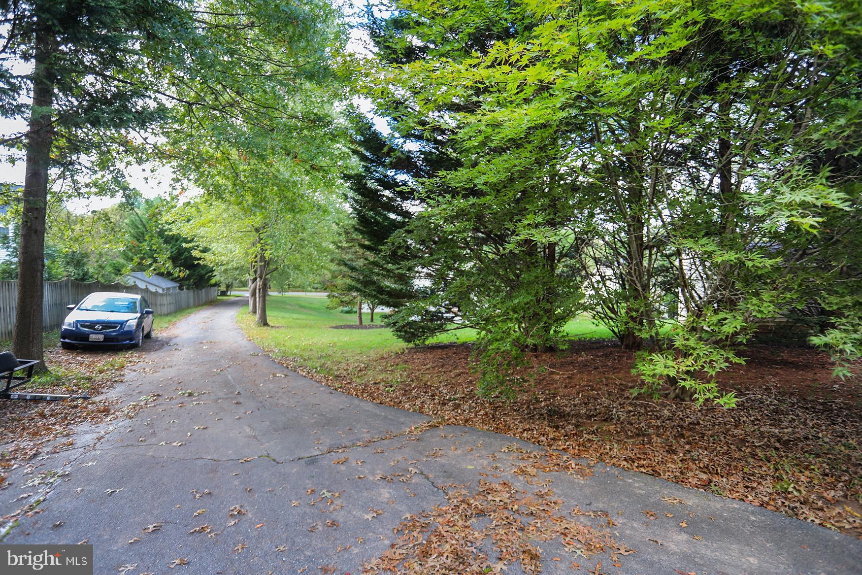 10009 Puritan Way