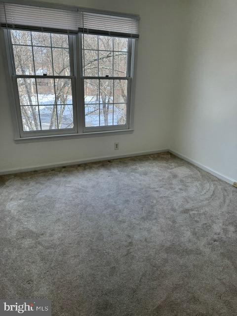 12012 SAW MILL CT