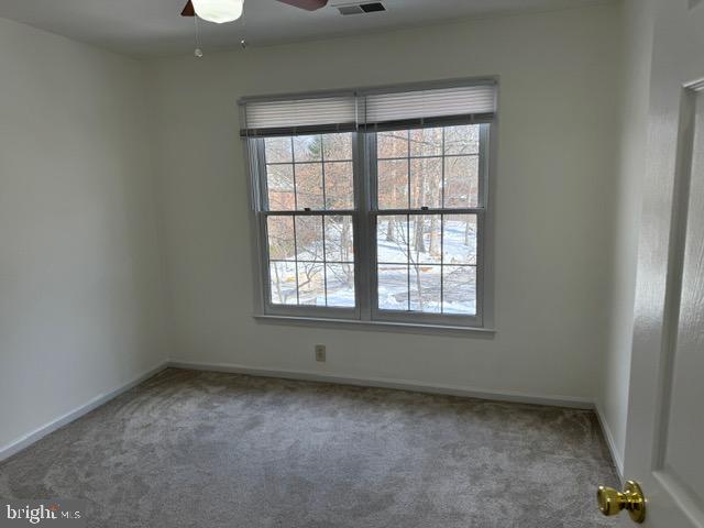 12012 SAW MILL CT