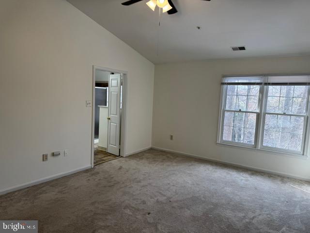 12012 SAW MILL CT