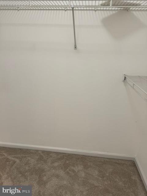 12012 SAW MILL CT