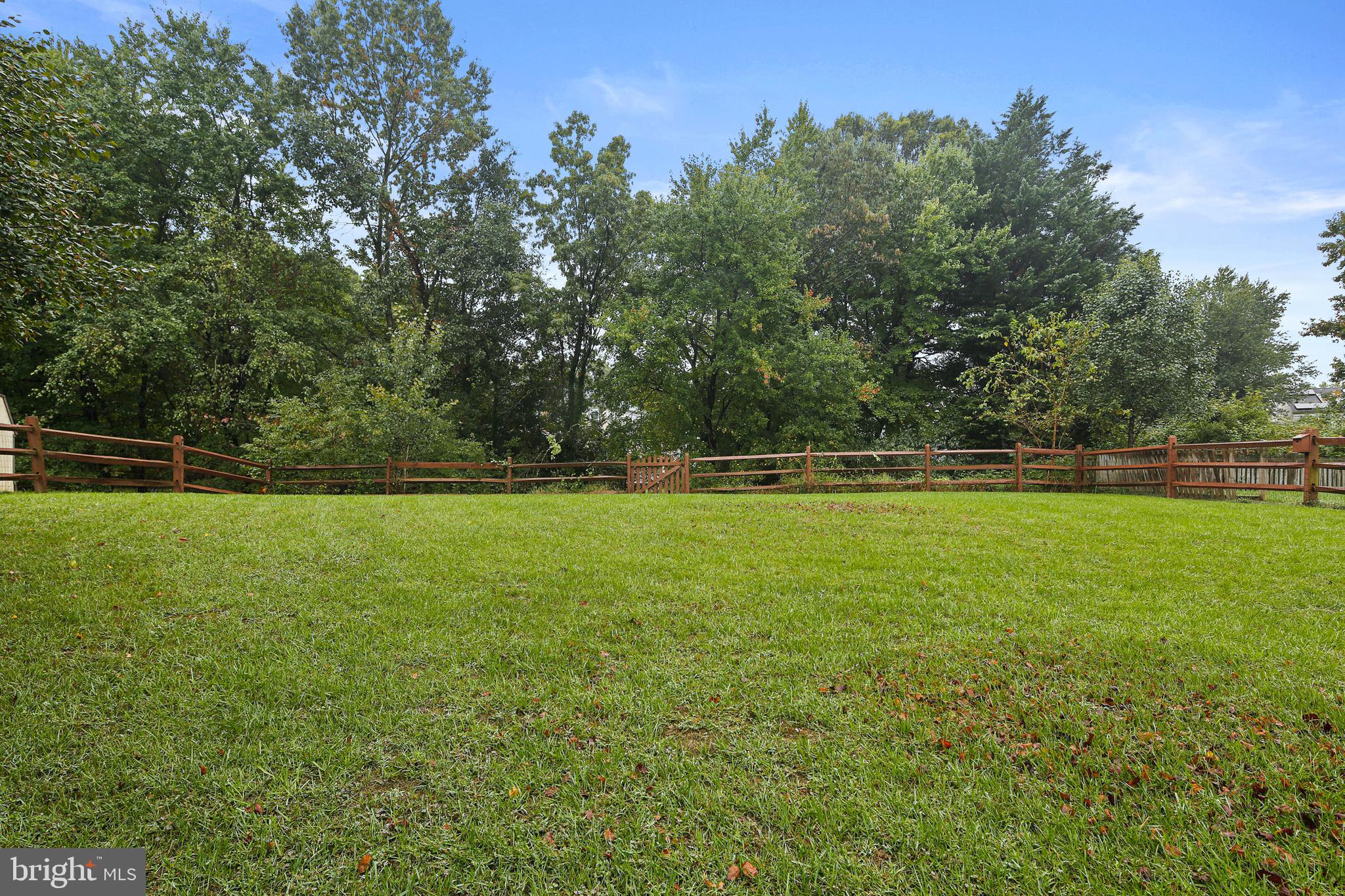 11213 Basswood Ter