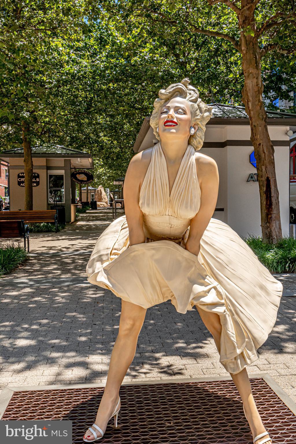 702 River Mist Dr #233