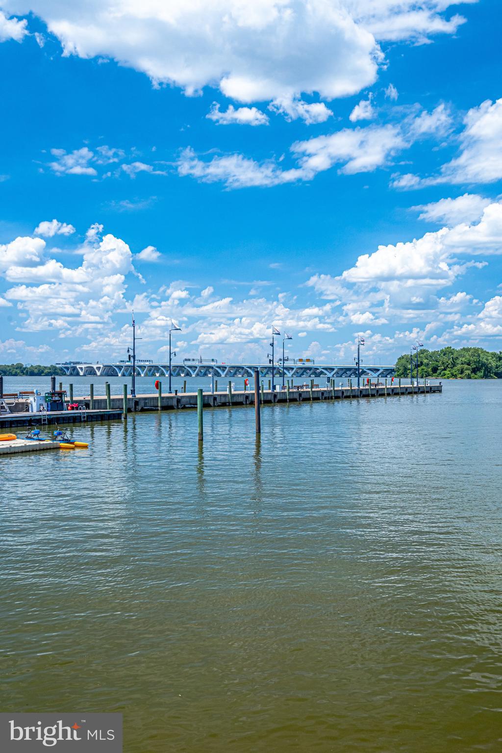 702 River Mist Dr #233