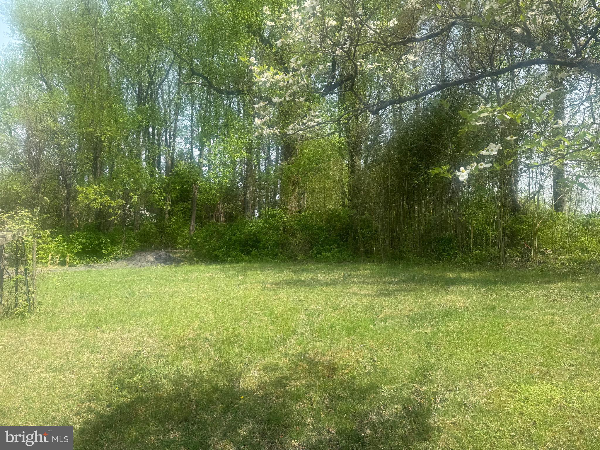 10906 Bell Road