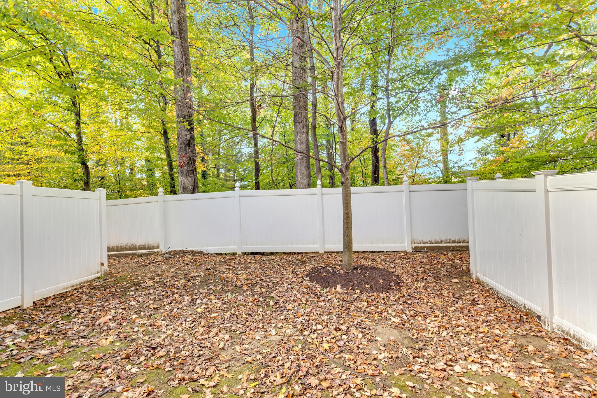 626 TAILGATE TERRACE