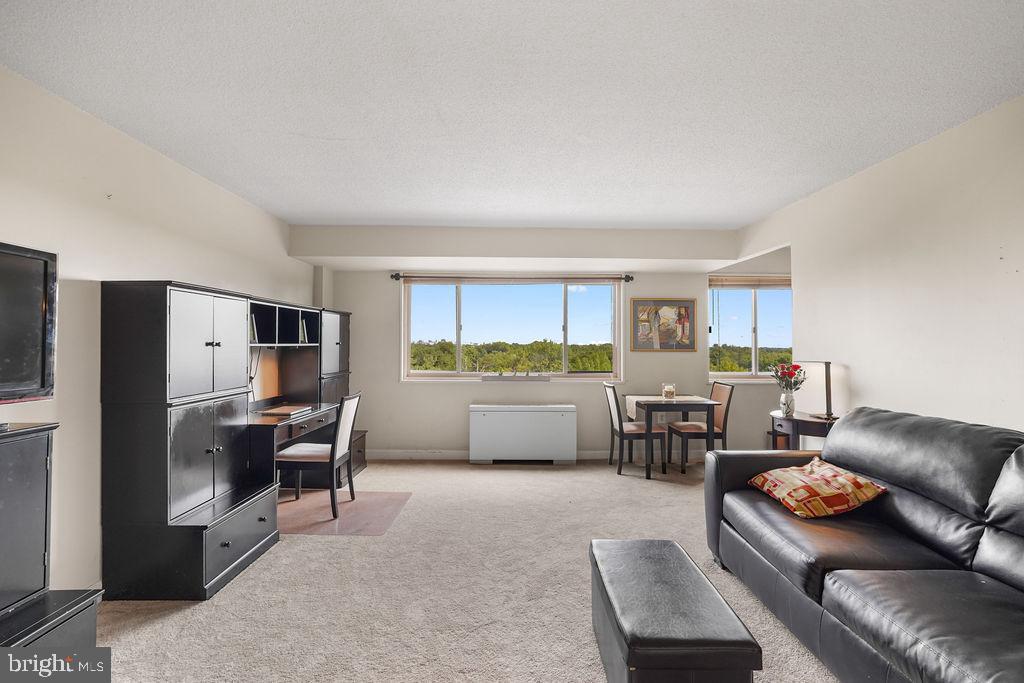 2500 N VAN DORN STREET 517