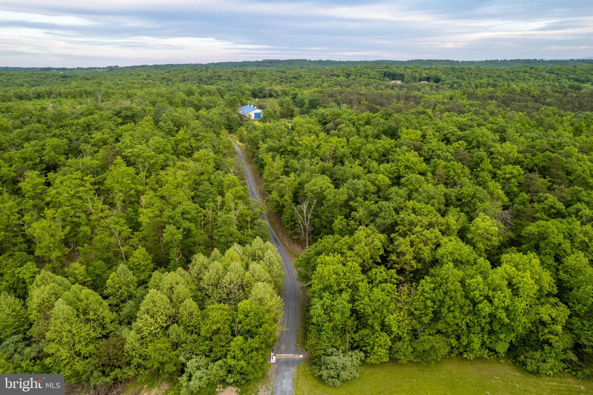 3545 BACK MOUNTAIN RD