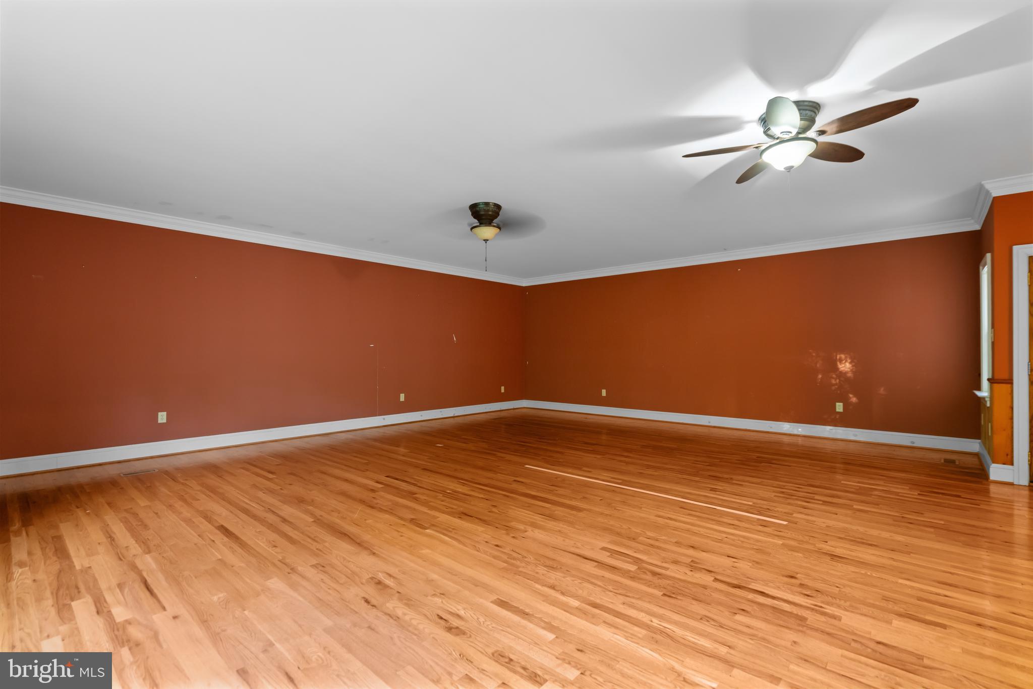 3545 BACK MOUNTAIN RD