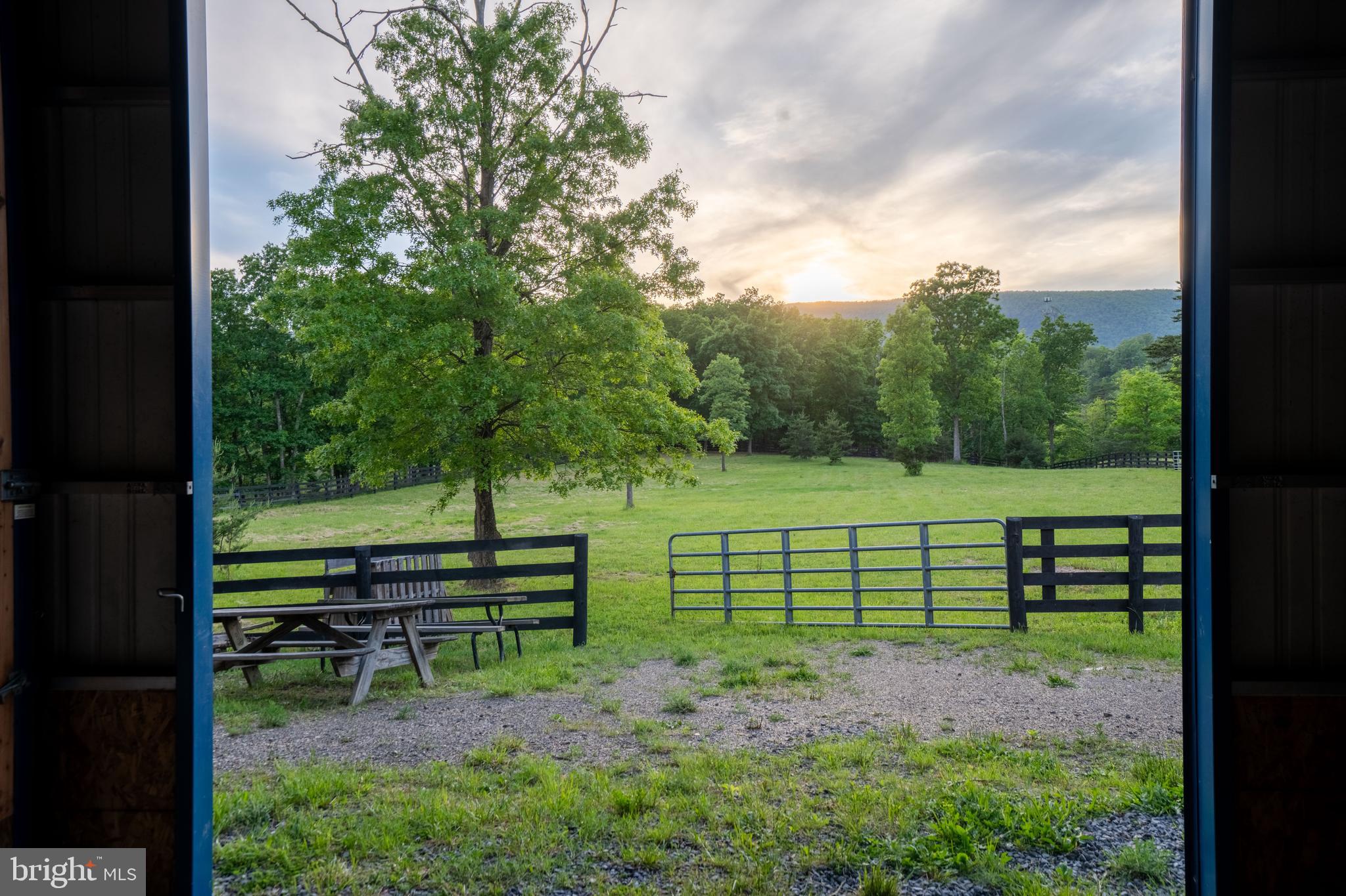 3545 BACK MOUNTAIN RD